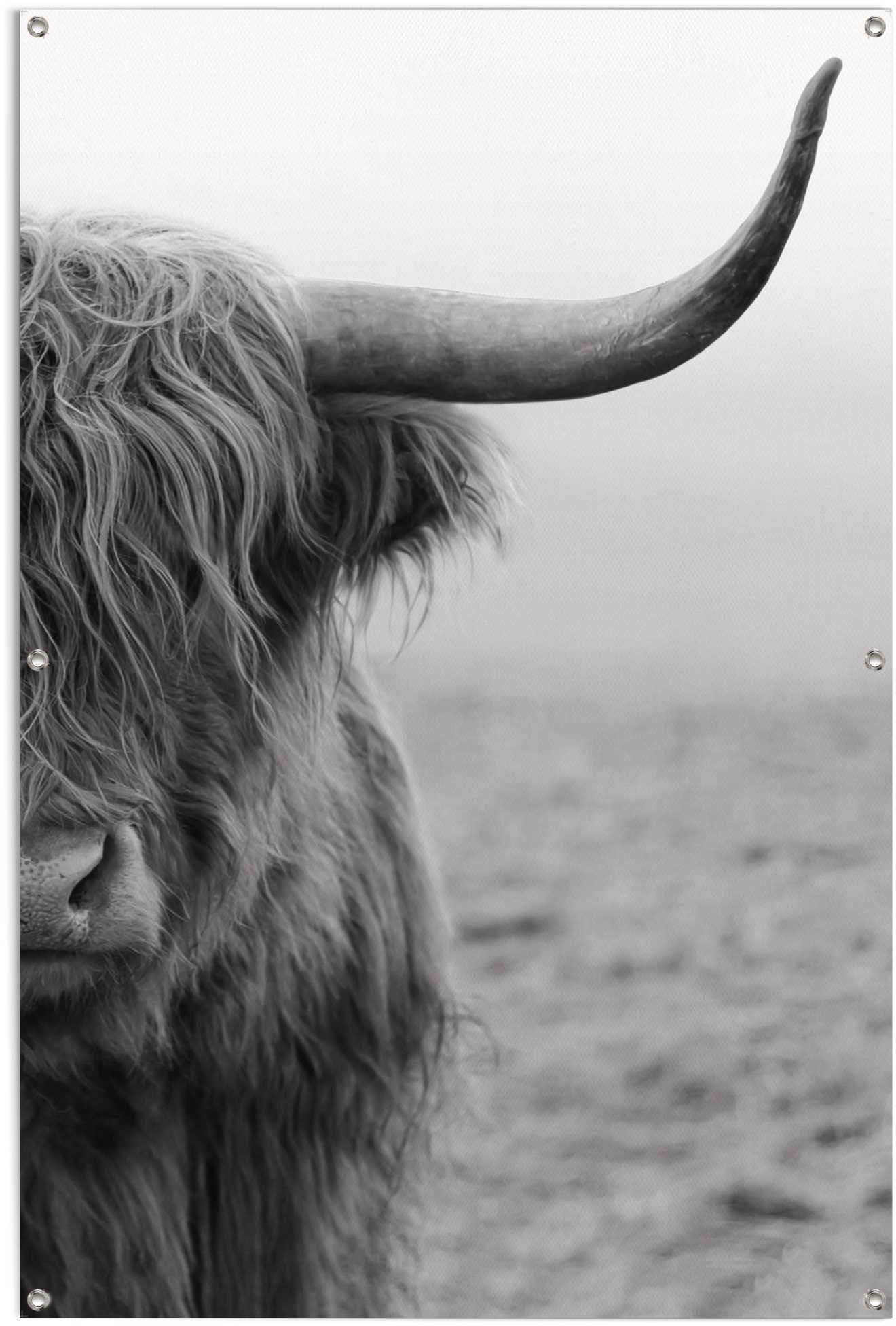 Bulle, wasserfestes Poster leichtes für Highlander und Reinders! Außeneinsatz den Gartenposter