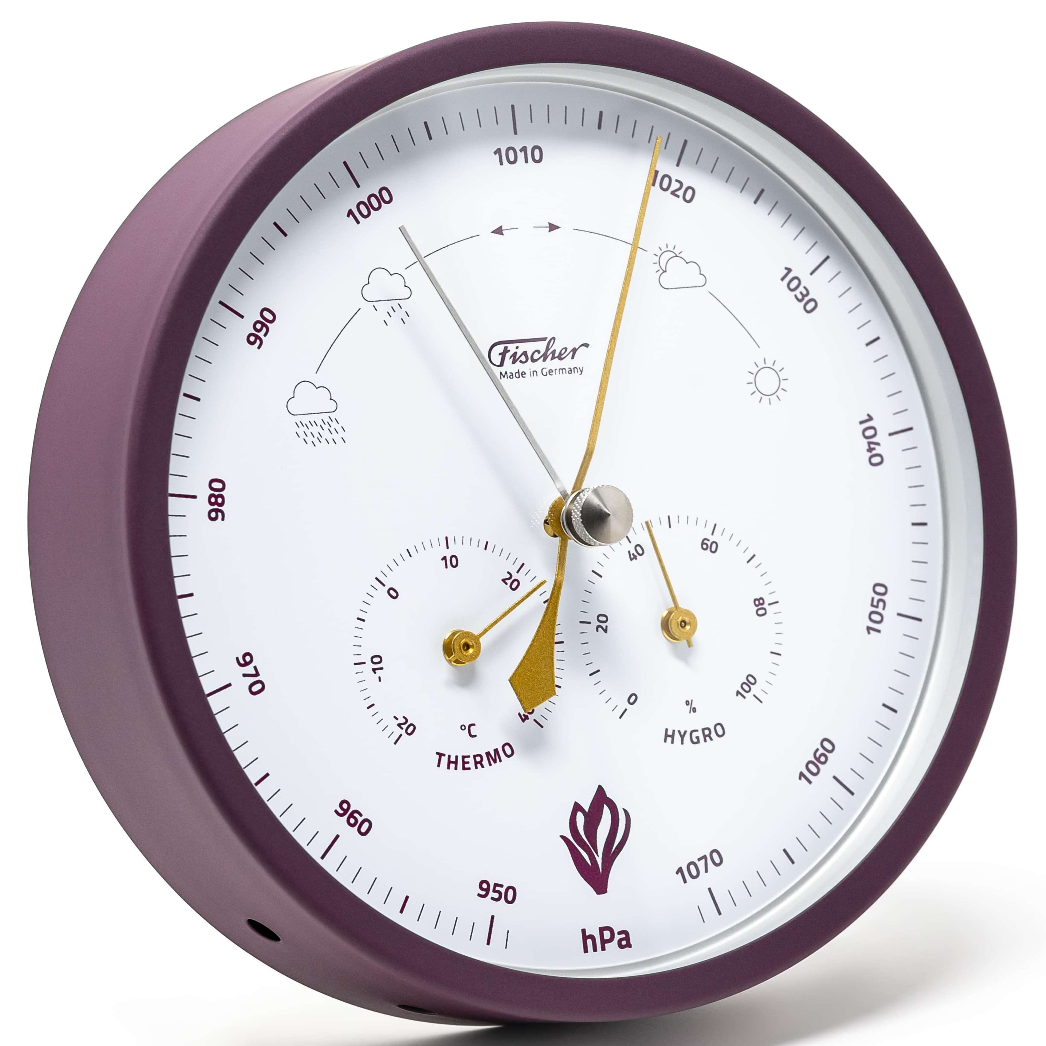 Fischer Fischer 1602-24 Wetterstation KROKUS 160mm Made in Germany Außenwetterstation