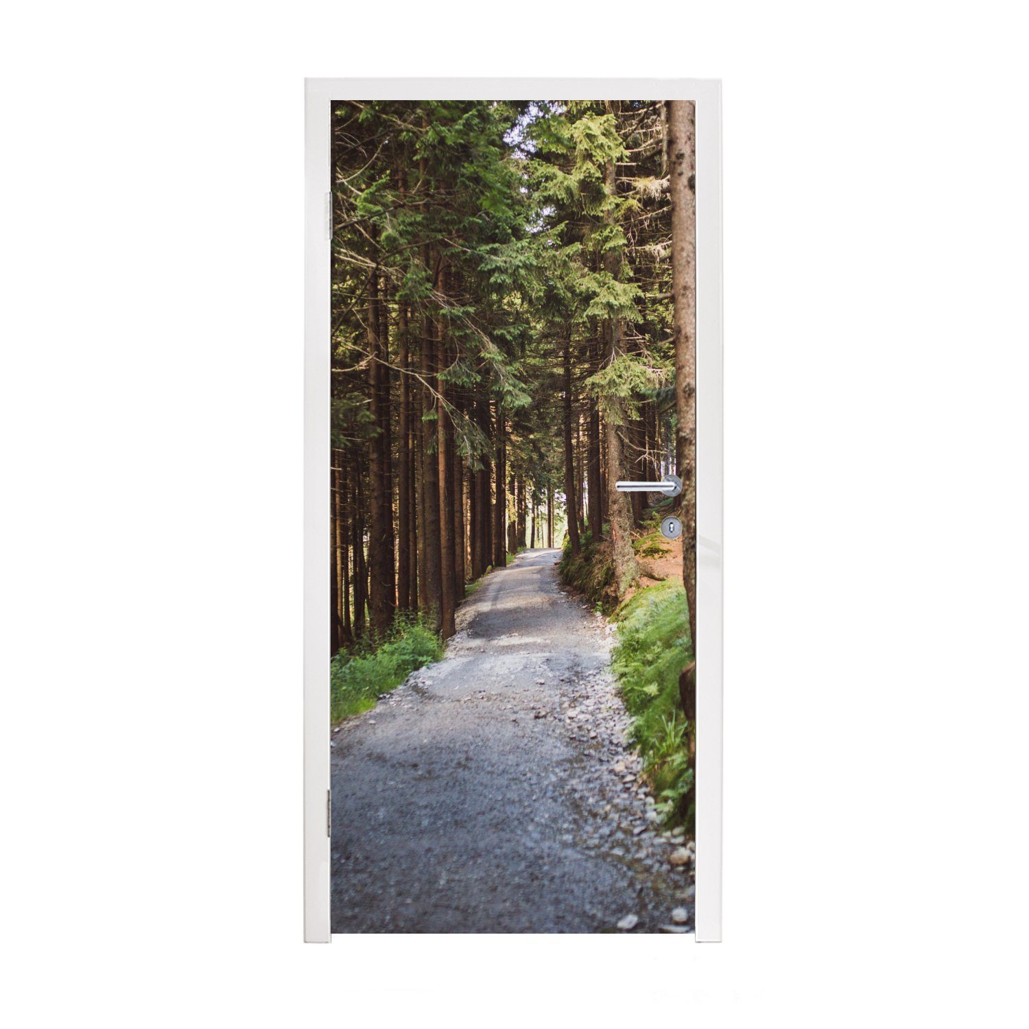 MuchoWow Türtapete Waldweg im Nationalpark Bayerischer Wald, Matt, bedruckt, (1 St), Fototapete für Tür, Türaufkleber, 75x205 cm