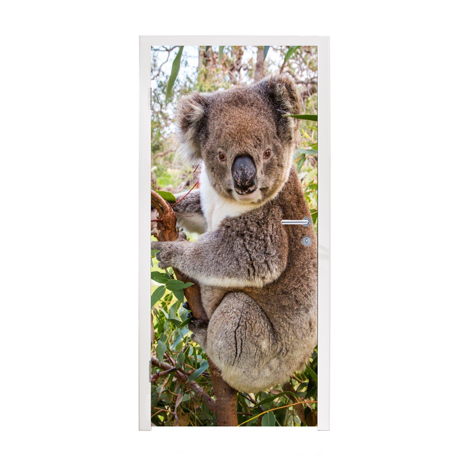 MuchoWow Türtapete Koala - Blätter - Kinder - Jungen - Mädchen, Matt, bedruckt, (1 St), Fototapete für Tür, Türaufkleber, 75x205 cm