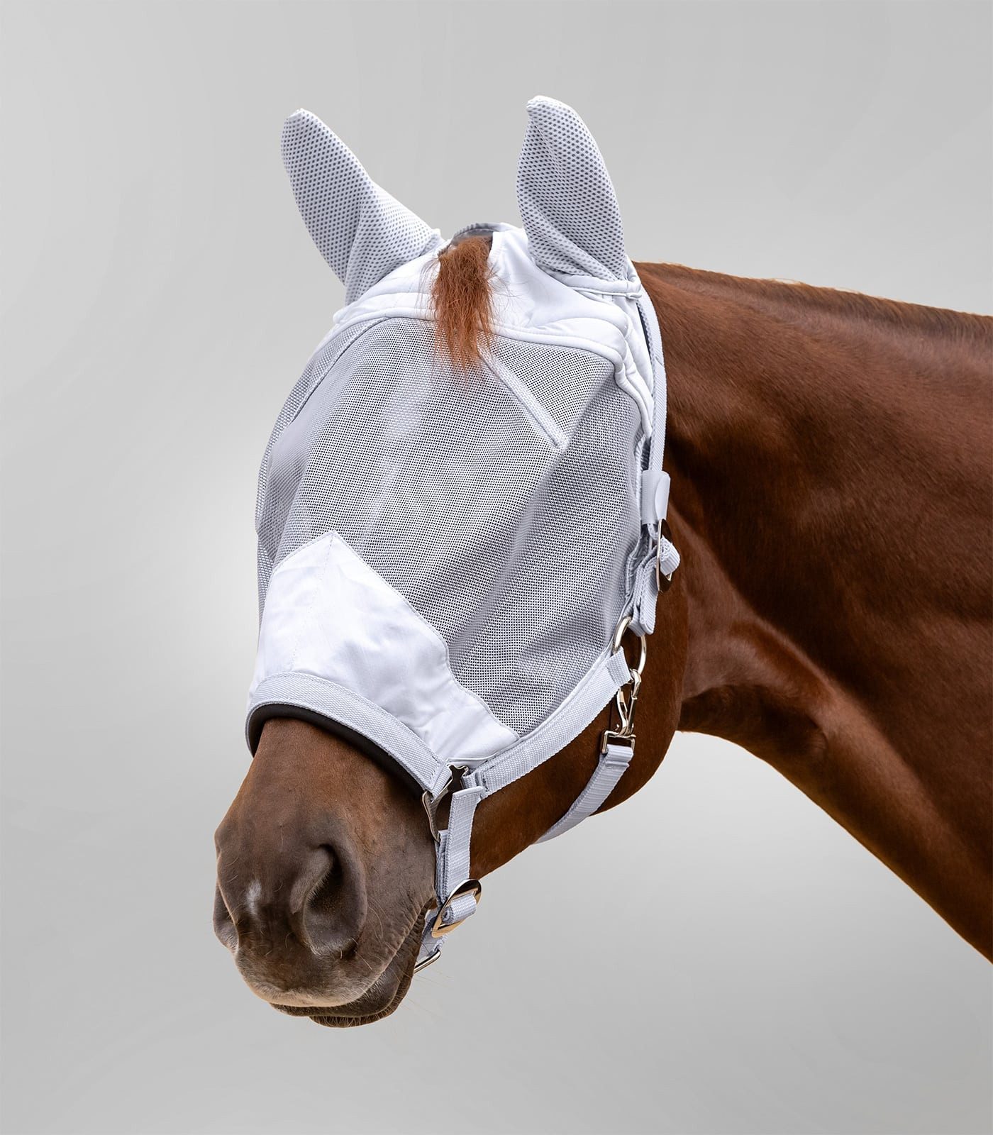 Waldhausen Fliegenmasken Fliegenmaske Premium m. Halfter, mit Ohrenschutz