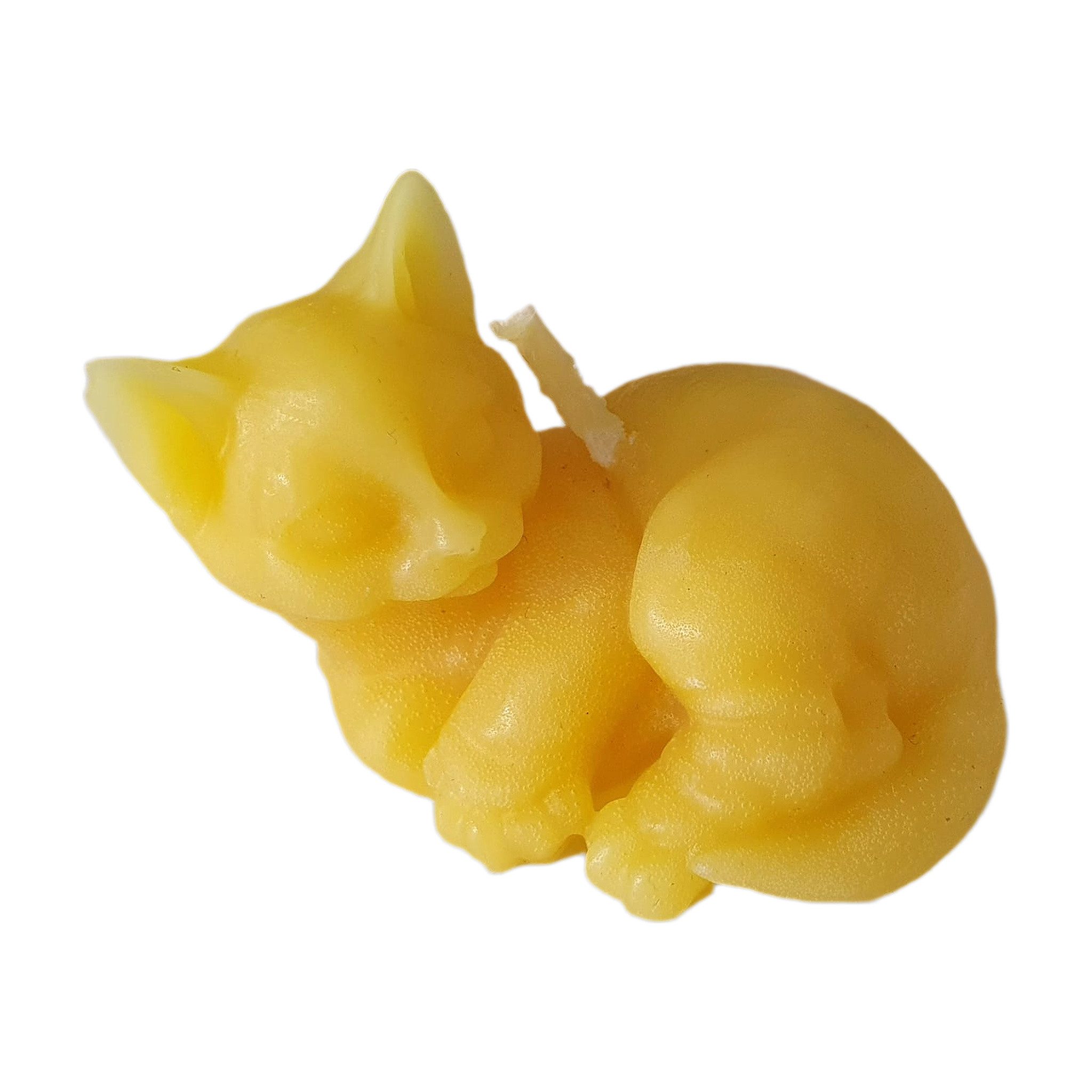 Aspinaworld Bienenwachskerze Katzen Kerze liegend 3,5 cm natur – flach und breit (1-tlg)