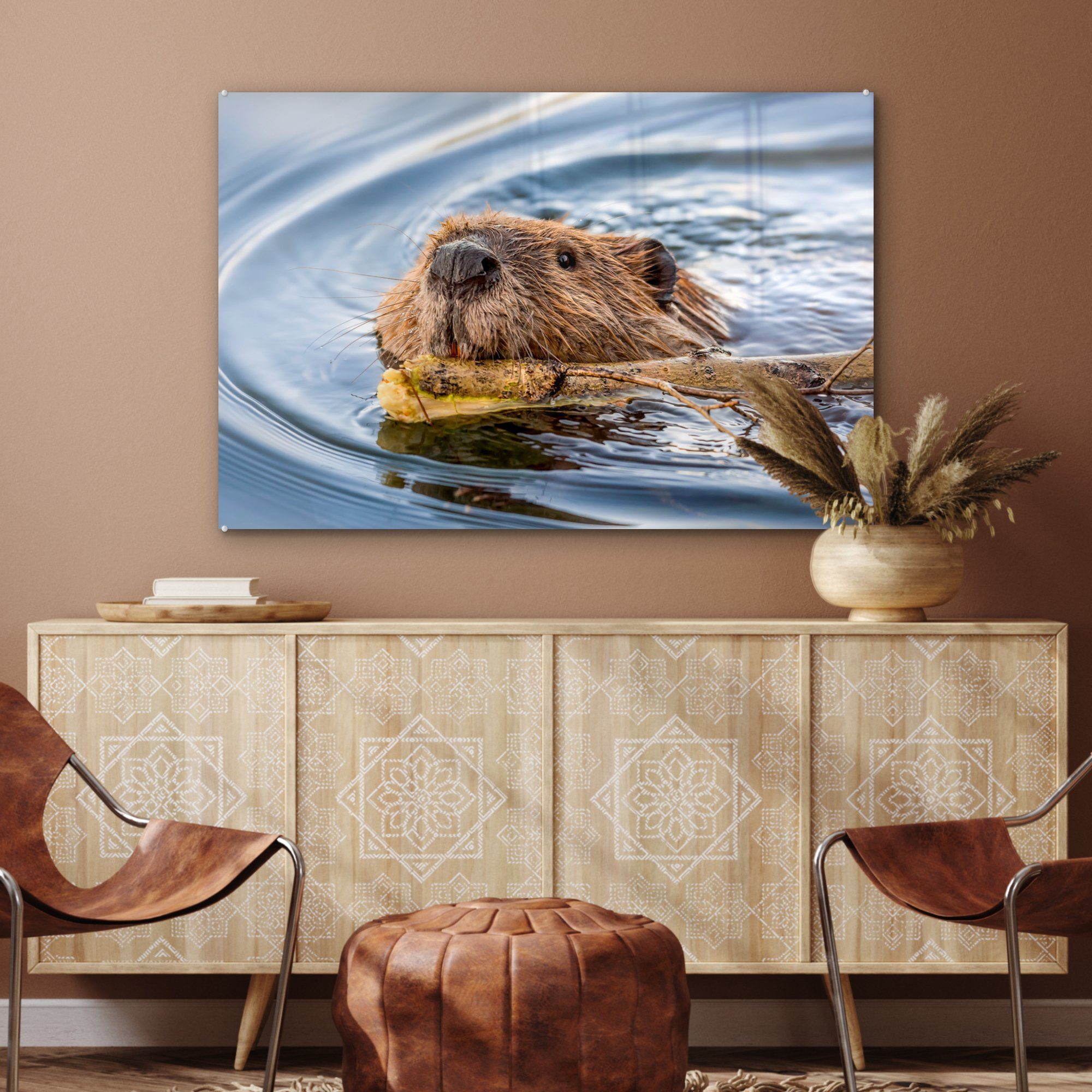 Acrylglasbild St), Wohnzimmer - Schwimmen Schlafzimmer Wasser, MuchoWow (1 Acrylglasbilder - & Biber