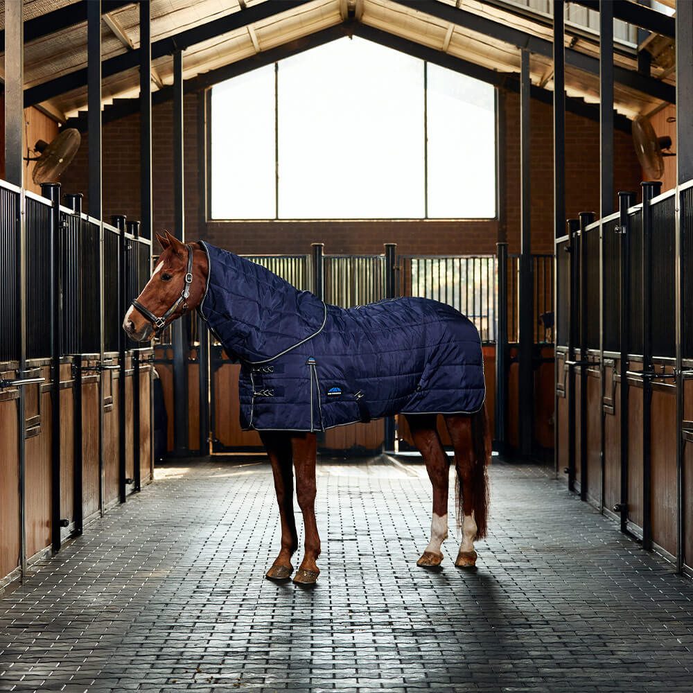 WeatherBeeta Pferde-Thermodecke Weatherbeeta Comfitec Pp Channel Quilt Stable Detach-A-Neck 220G