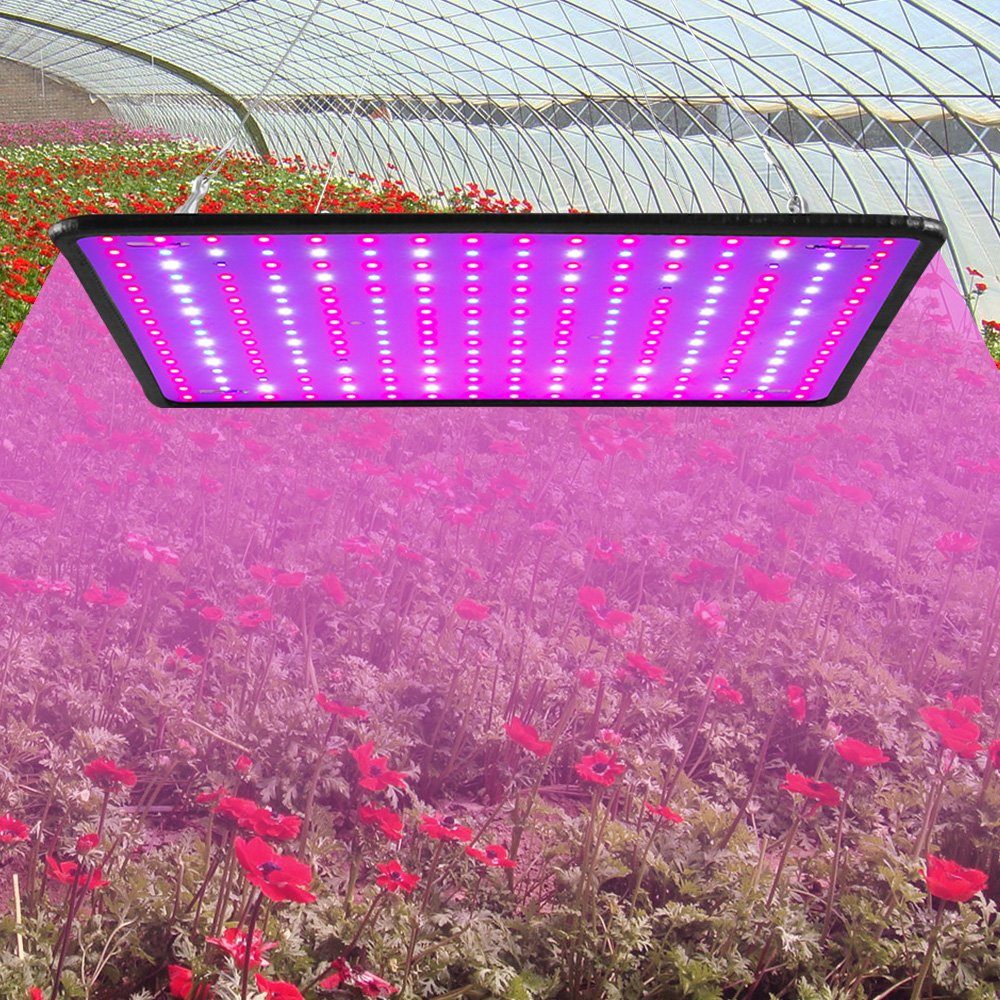 licht A Qelus Blumen, Gemüse LEDs Pflanzenlampe Wachsen Spektrum LED, Pflanzenlampe 256 für Zimmerpflanzen und Volles Pflanzenleuchte LED Pflanzen