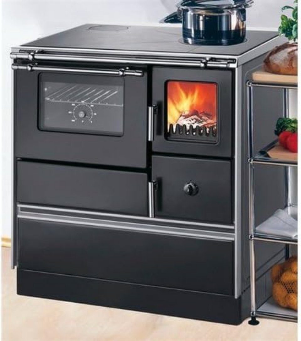 Wamsler Kaminofen WAMSLER K 176 F / A LI Kohleherd schwarz 37480, (1-tlg)