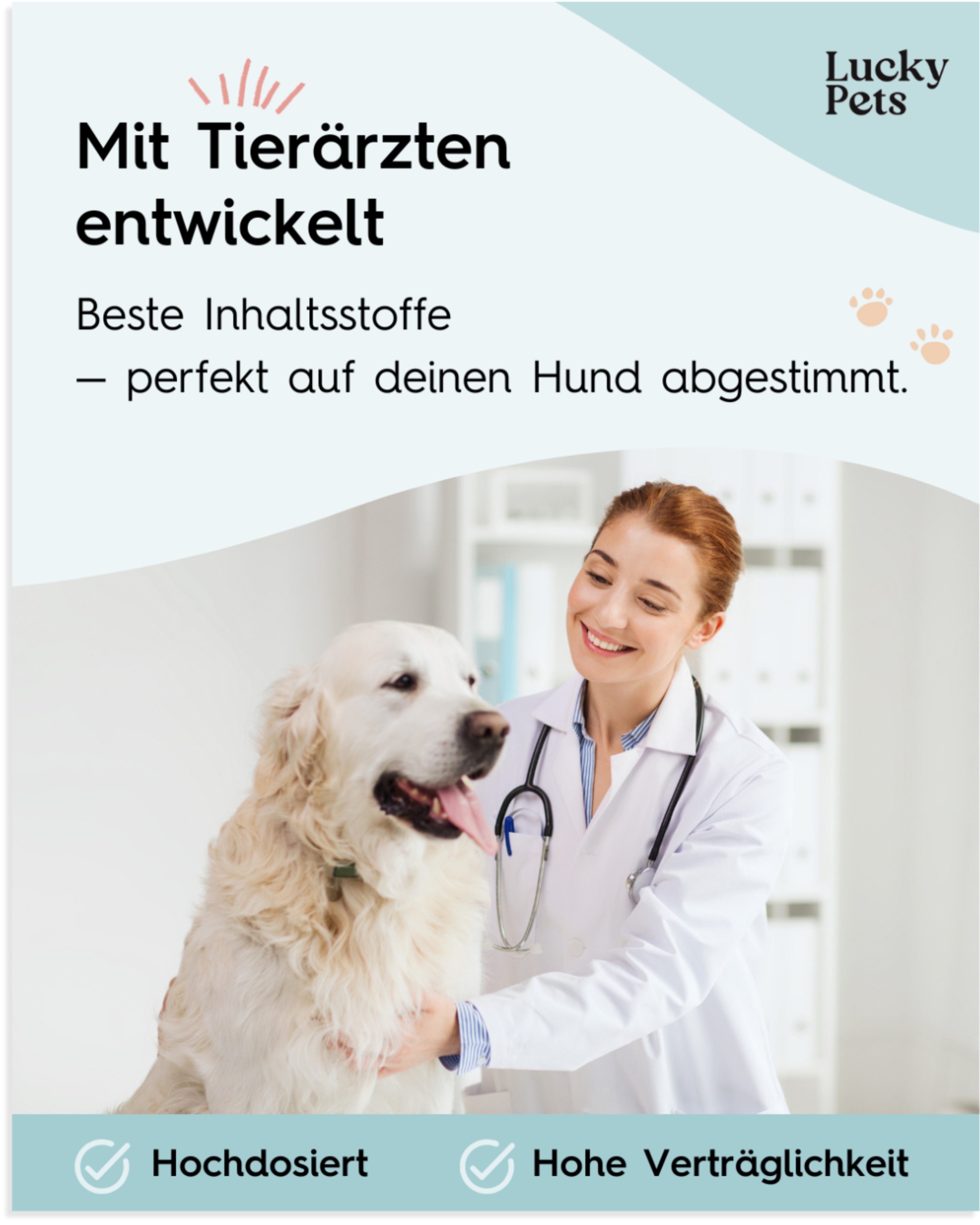 Lucky Pets Gelenktabletten für Hunde – mit Grünlippmuschel und Teufelskralle, Nahrungsergänzungsmittel für: Hunde