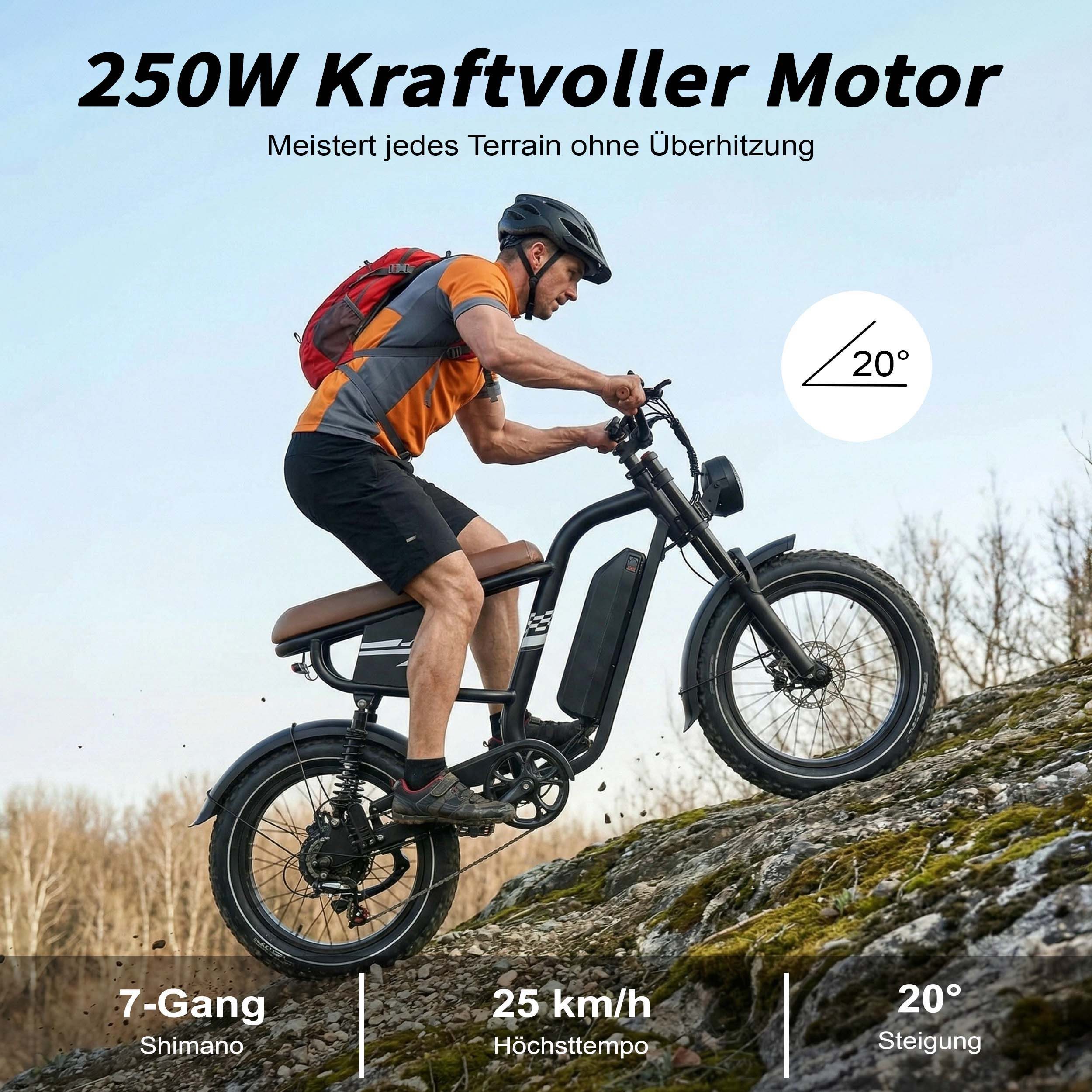 Vankel E-Bike Cityrad MX10 E-Fahrrad Damen u. Herren 648WH Pedelec, 48V 100 km Reichweite, Heckmotor, 648 Wh