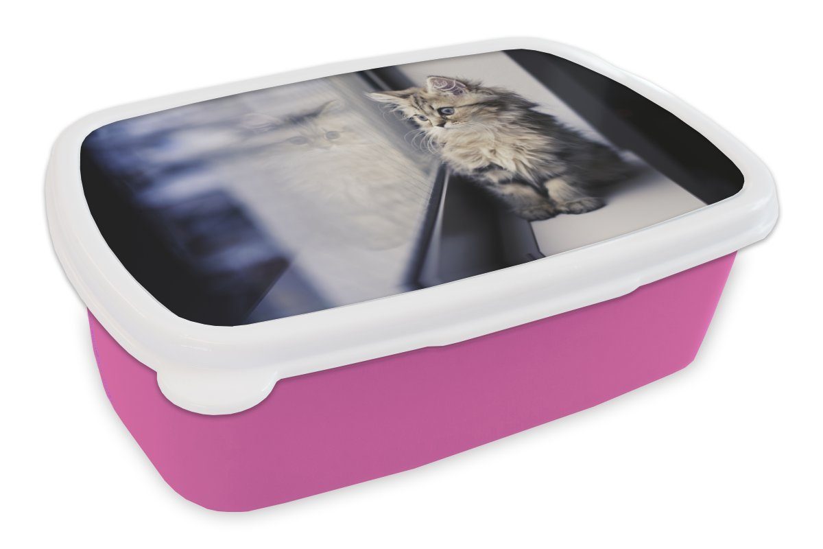 MuchoWow Lunchbox Ein persisches Kätzchen schaut aus dem Fenster, Kunststoff, (2-tlg), Brotbox für Erwachsene, Brotdose Kinder, Snackbox, Mädchen, Kunststoff rosa | Lunchboxen