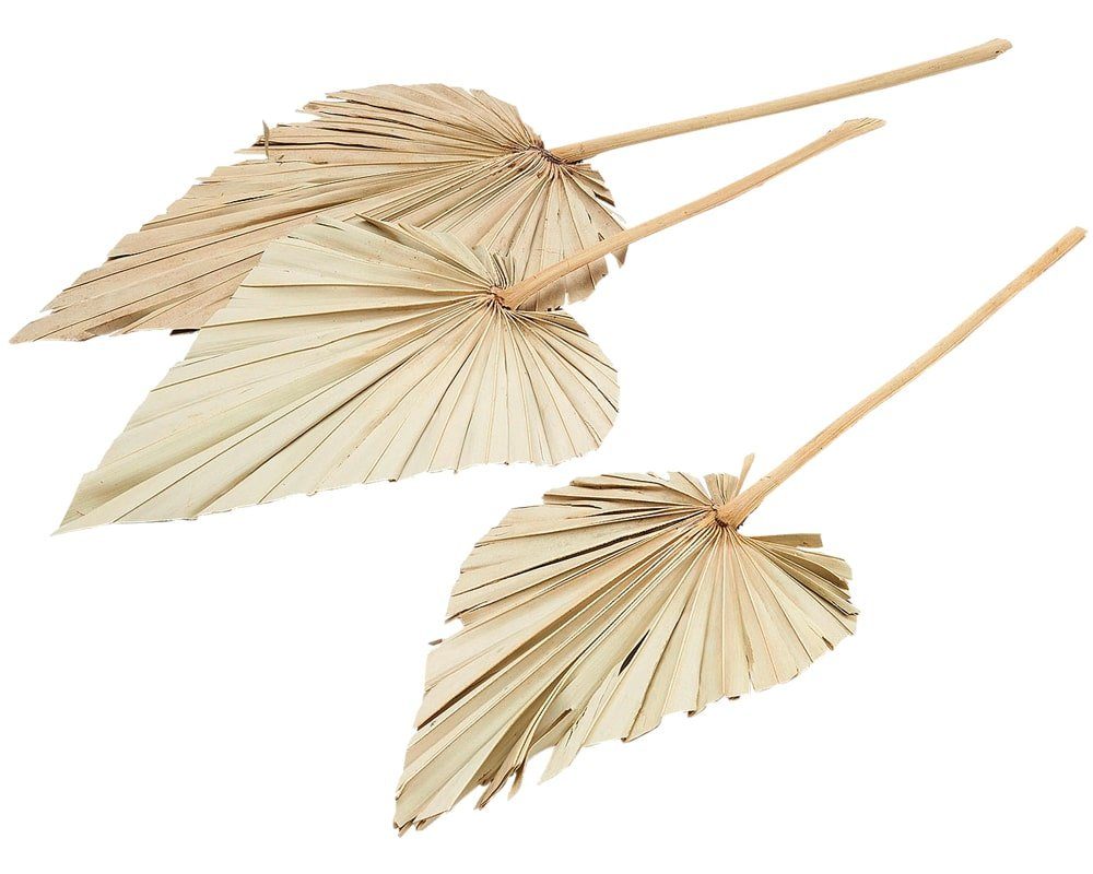 Kunstblume Palmspeere Naturdeko natur 1 Bund günstig online kaufen