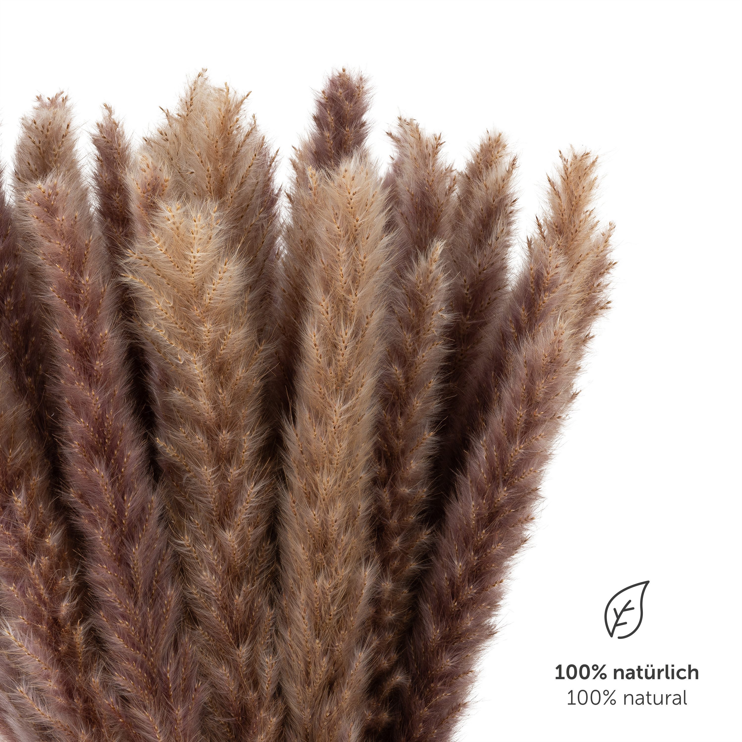 Kunstpflanze getrocknet - Trockenblumen, Ideales Dekoelement Pampasgras, Bl günstig online kaufen