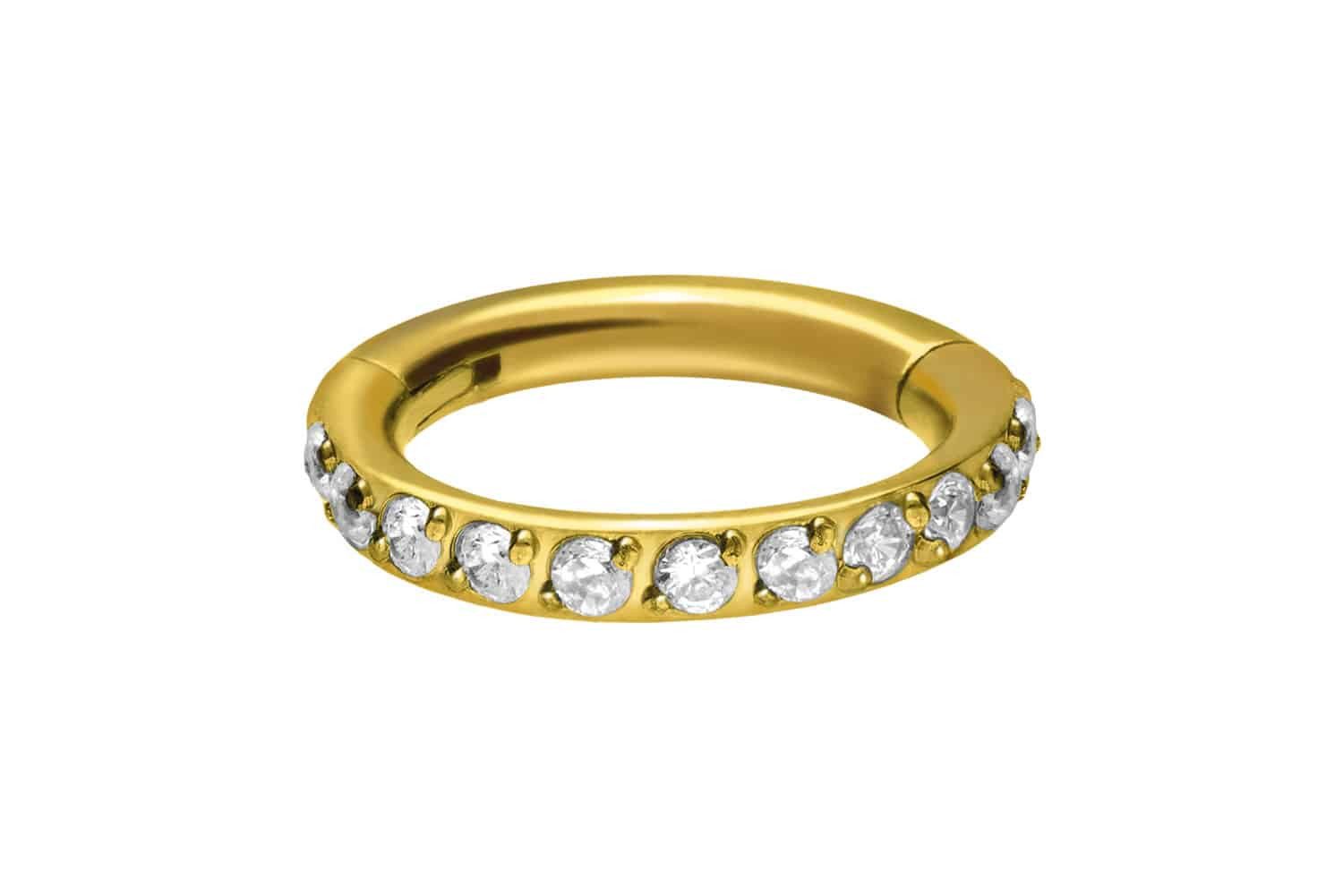 PIERCINGLINE Nasenpiercing Titan Segmentring Clicker EINGEFASSTE günstig online kaufen
