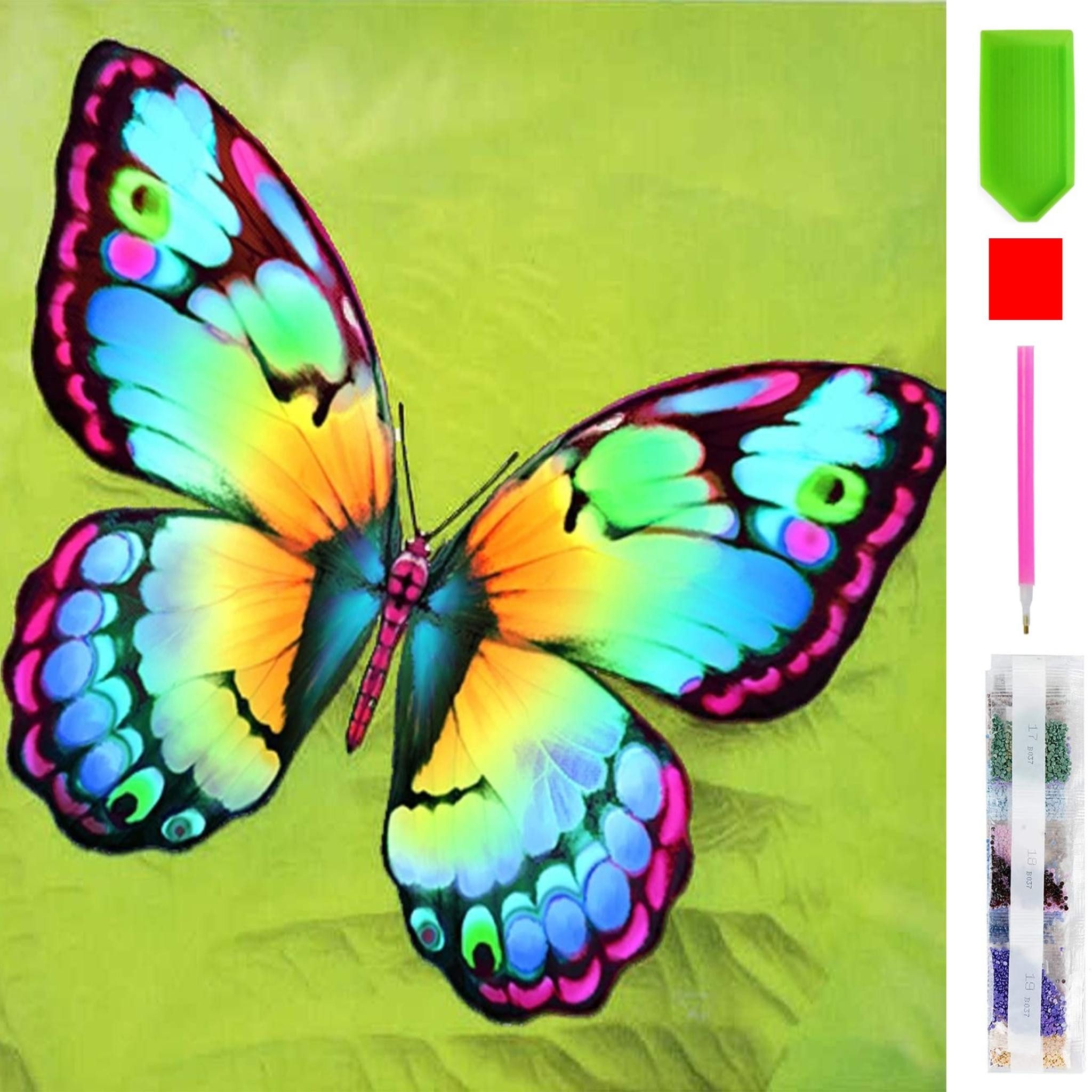 Malen nach Zahlen 5d Diamond Painting DIY Bunter Schmetterling Malen nach Zahlen 20x20cm