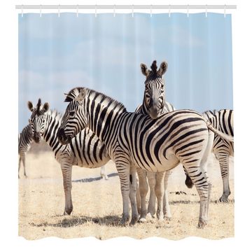 Abakuhaus Duschvorhang Moderner Digitaldruck mit 12 Haken auf Stoff Wasser Resistent Breite 175 cm, Höhe 180 cm, Zebra Namibia Afrika Safari