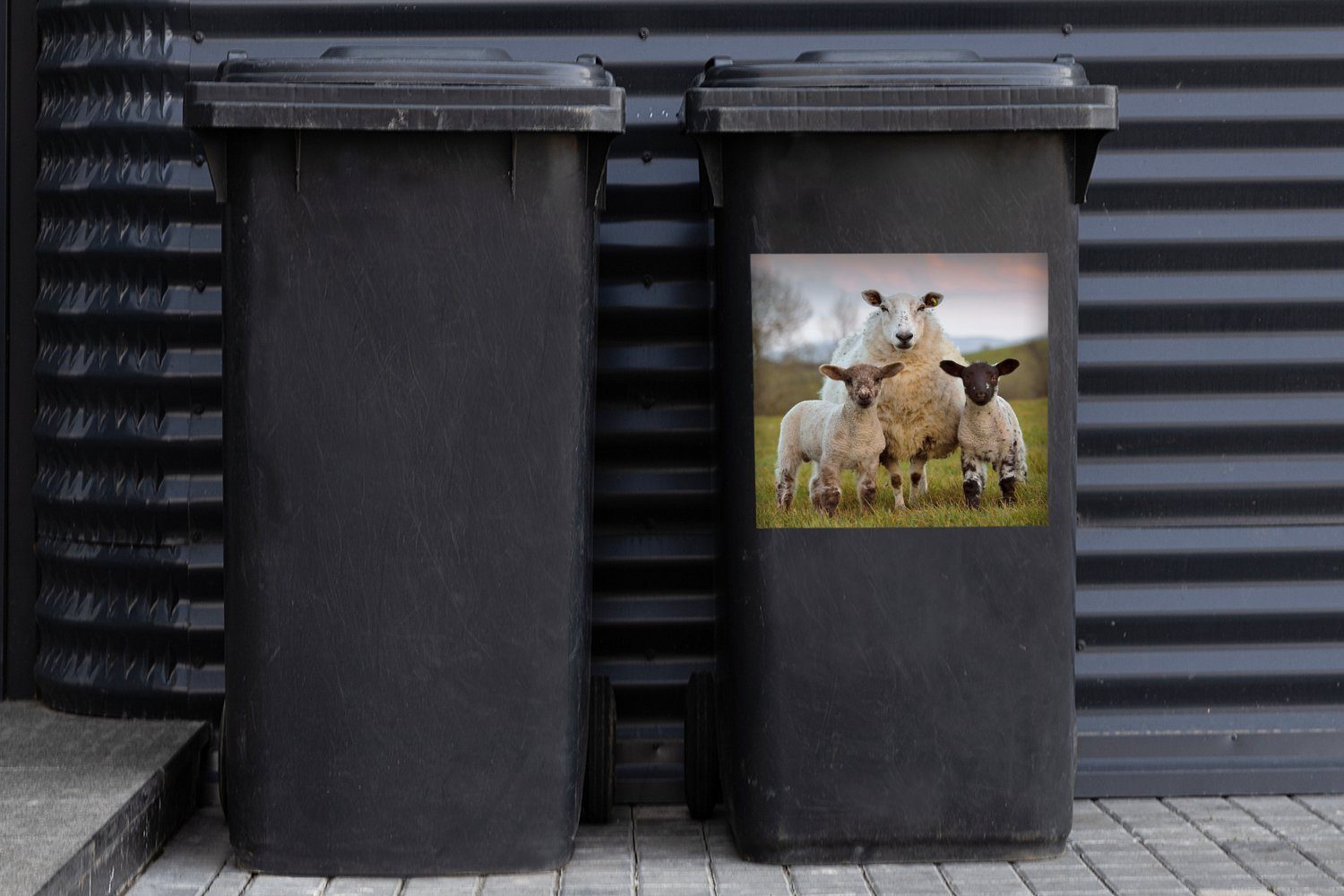 MuchoWow Wandsticker Schafe - Mülleimer-aufkleber, Schwarz Weiß Natur St), (1 Container, - - Mülltonne, Sticker, Abfalbehälter