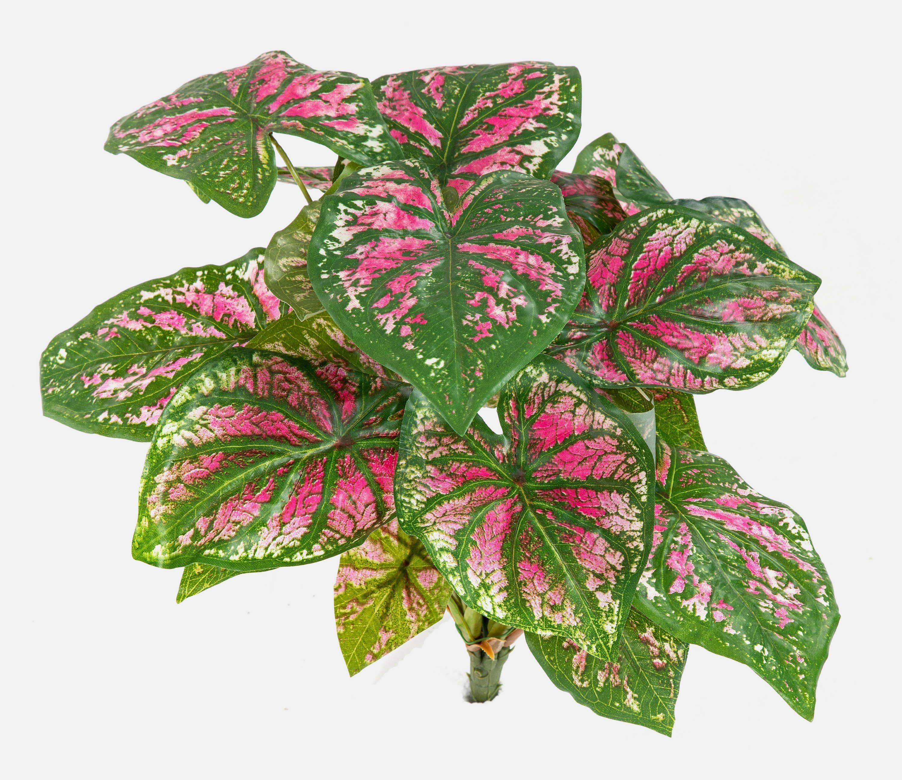 Künstliche Zimmerpflanze Künstliches Caladium BECRUX auf Steckstab, grün-pink, 35cm Caladium, artplants, Höhe 35.0 cm