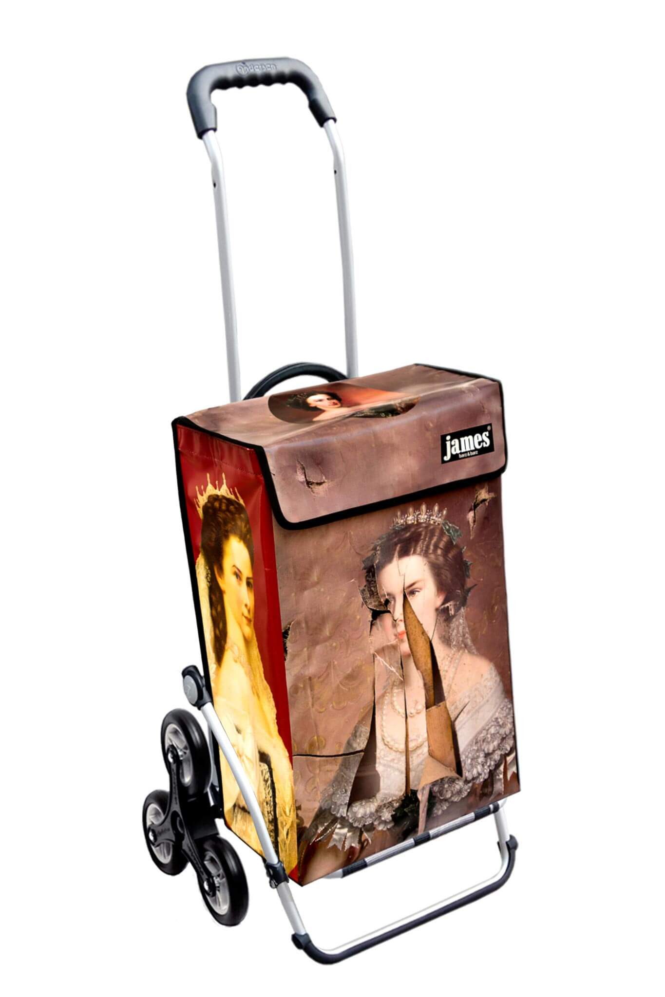 james Einkaufstrolley SISSI-BROKEN - stabiler Einkaufswagen mit individuellem Design, Handmade in Austria - Einkaufsbegleiter mit viel Stauraum - trägt 40kg