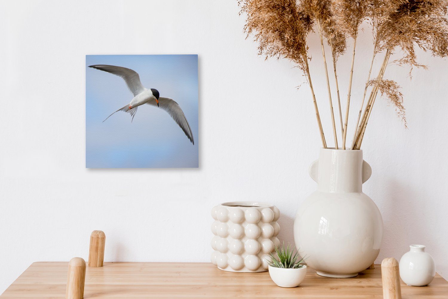 OneMillionCanvasses® Leinwandbild Eine Weißflügelseeschwalbe fliegt Bilder Leinwand Schlafzimmer St), Himmel, Wohnzimmer blauen für am (1