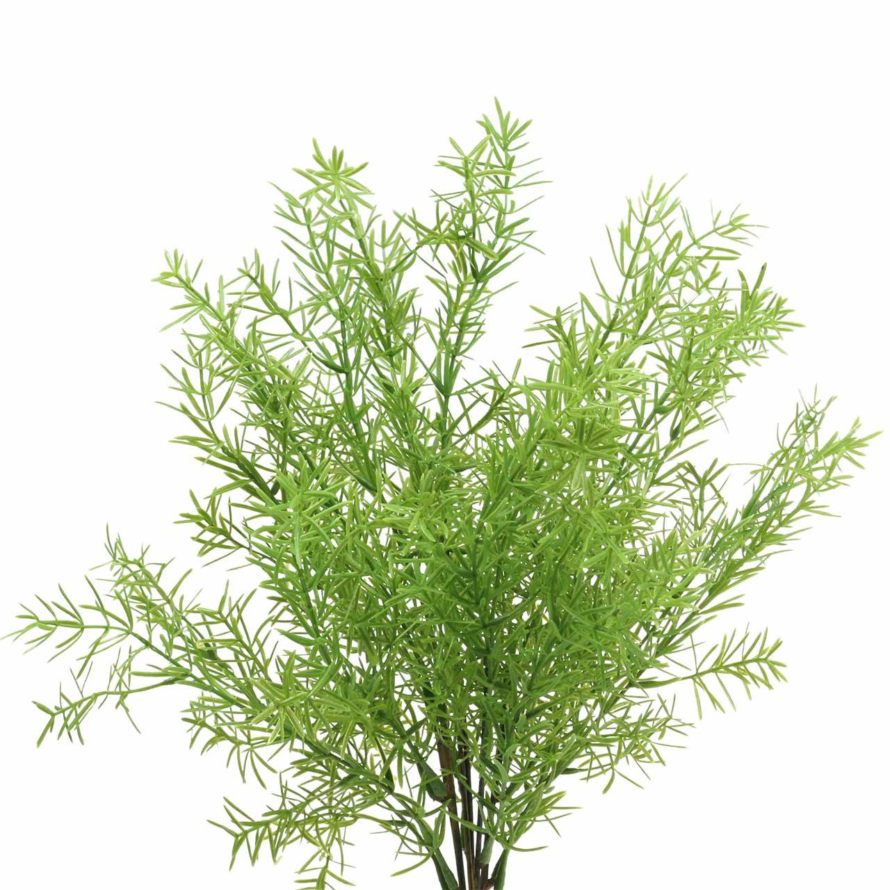 Künstliche Zimmerpflanze Asparagus Zierspargel künstlich Dekopflanze günstig online kaufen