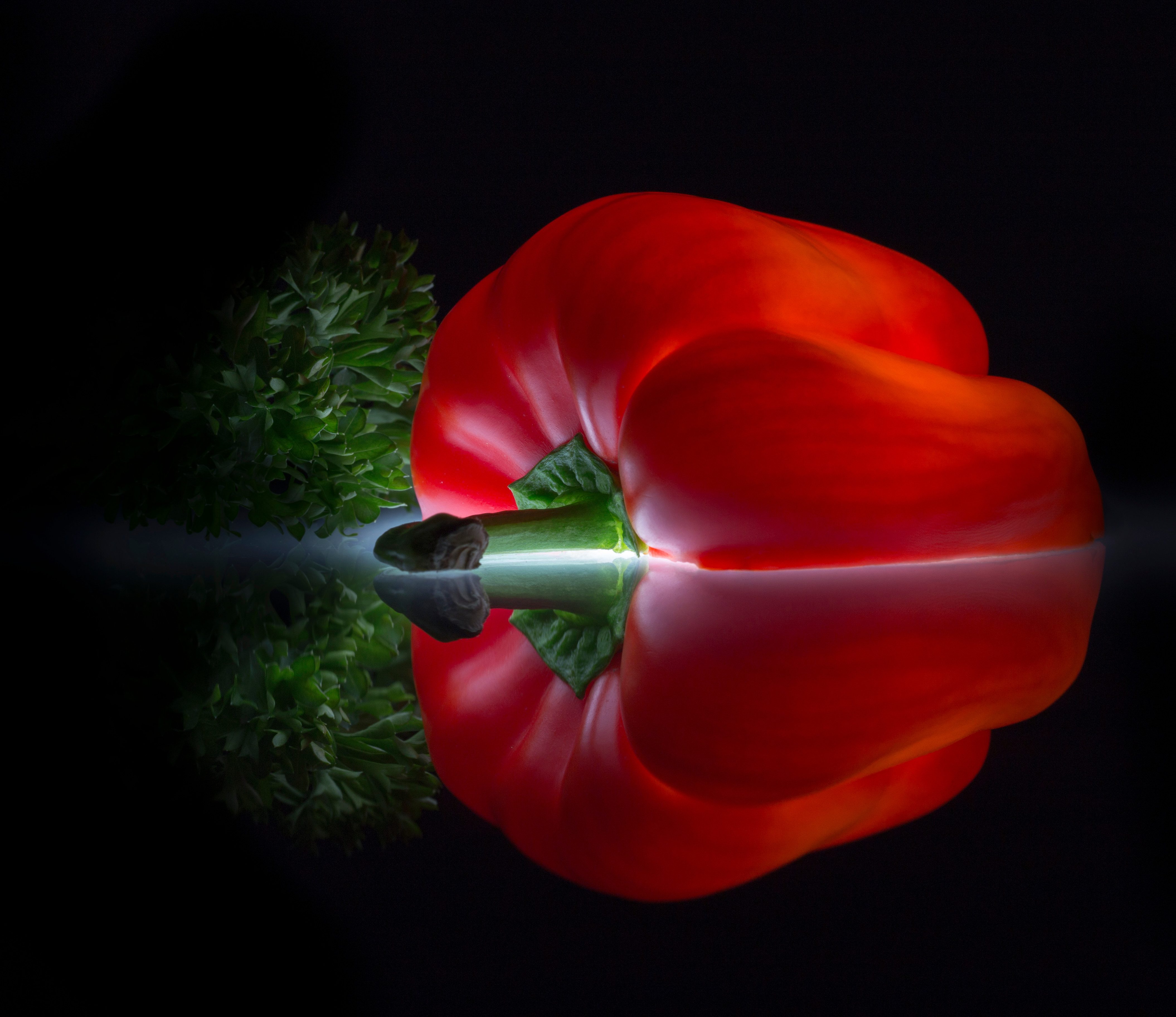 Fototapete VLIES-Tapete Premium Paprika Gemüse Rot Grün Schwarz Makro