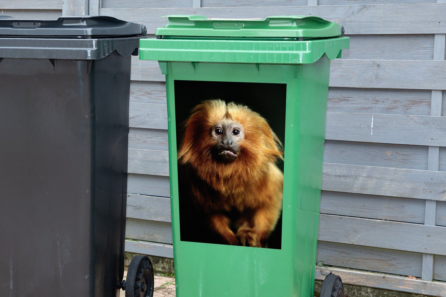MuchoWow Wandsticker Ein goldenes Mülltonne, Löwenmäulchen Abfalbehälter schwarzem St), schaut Sticker, (1 die Hintergrund Mülleimer-aufkleber, auf Container, in