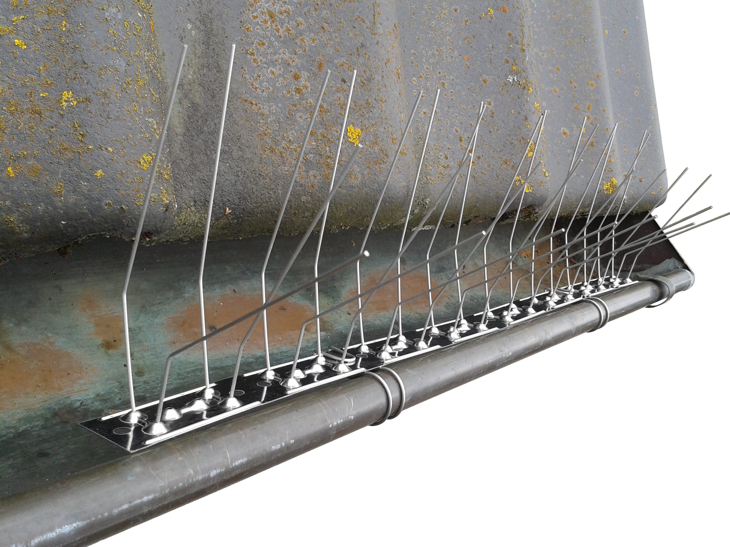 SAFA Taubenspikes 0,5 Meter Dachrinnenschutz/ Taubenabwehr inkl. 3 Befestigungsclips, Clips sind verträglich mit Dachrinnen aus Edelstahl/Kupfer/Blei