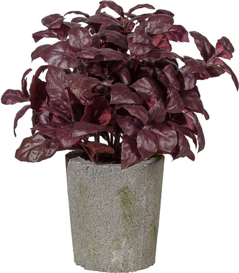 Kunstpflanze Basilikumbusch Basilikum, Creativ green, Höhe 30 cm