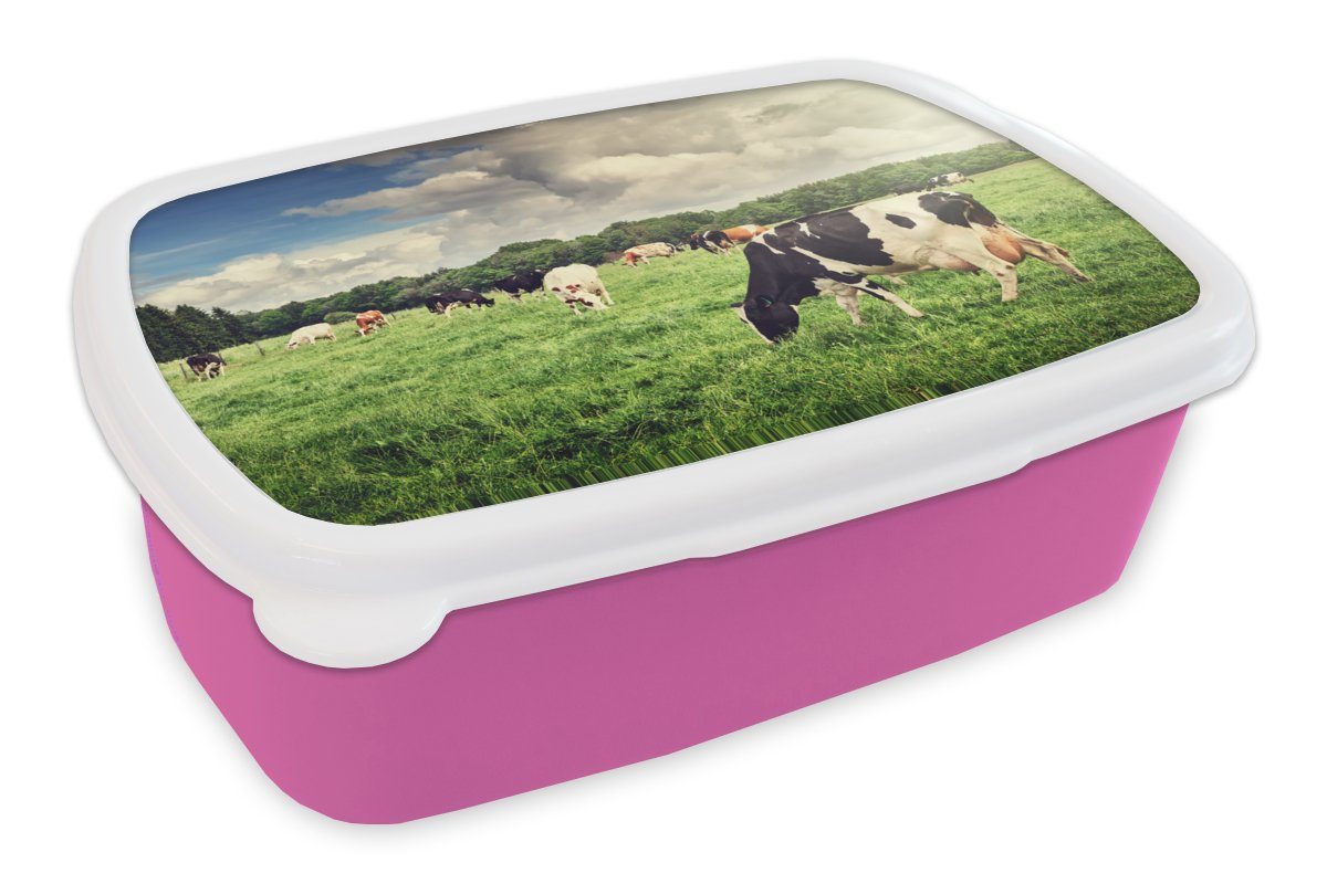 MuchoWow Lunchbox Kühe - Weide - Natur - Tiere - Landschaft, Kunststoff, (2-tlg), Brotbox für Erwachsene, Brotdose Kinder, Snackbox, Mädchen, Kunststoff rosa