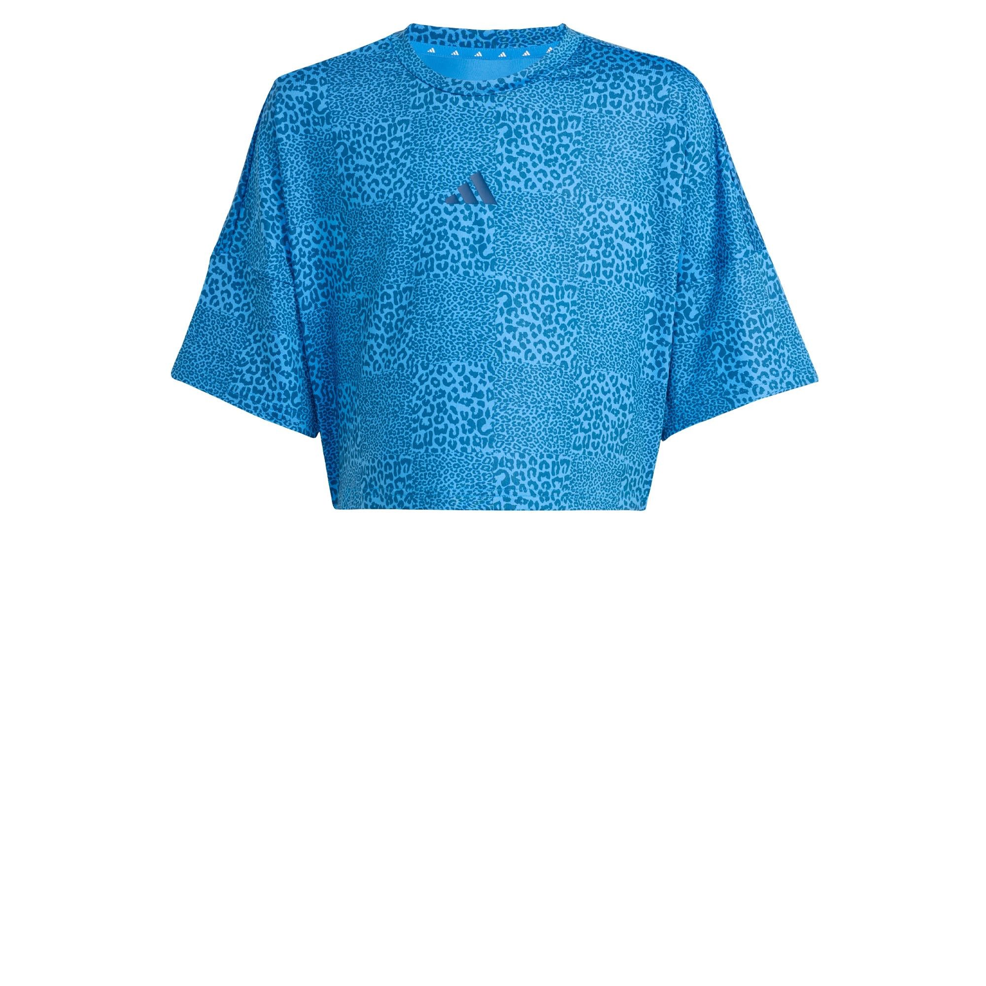 Ray Blue / Dusky Petrol / Dusky Petrol