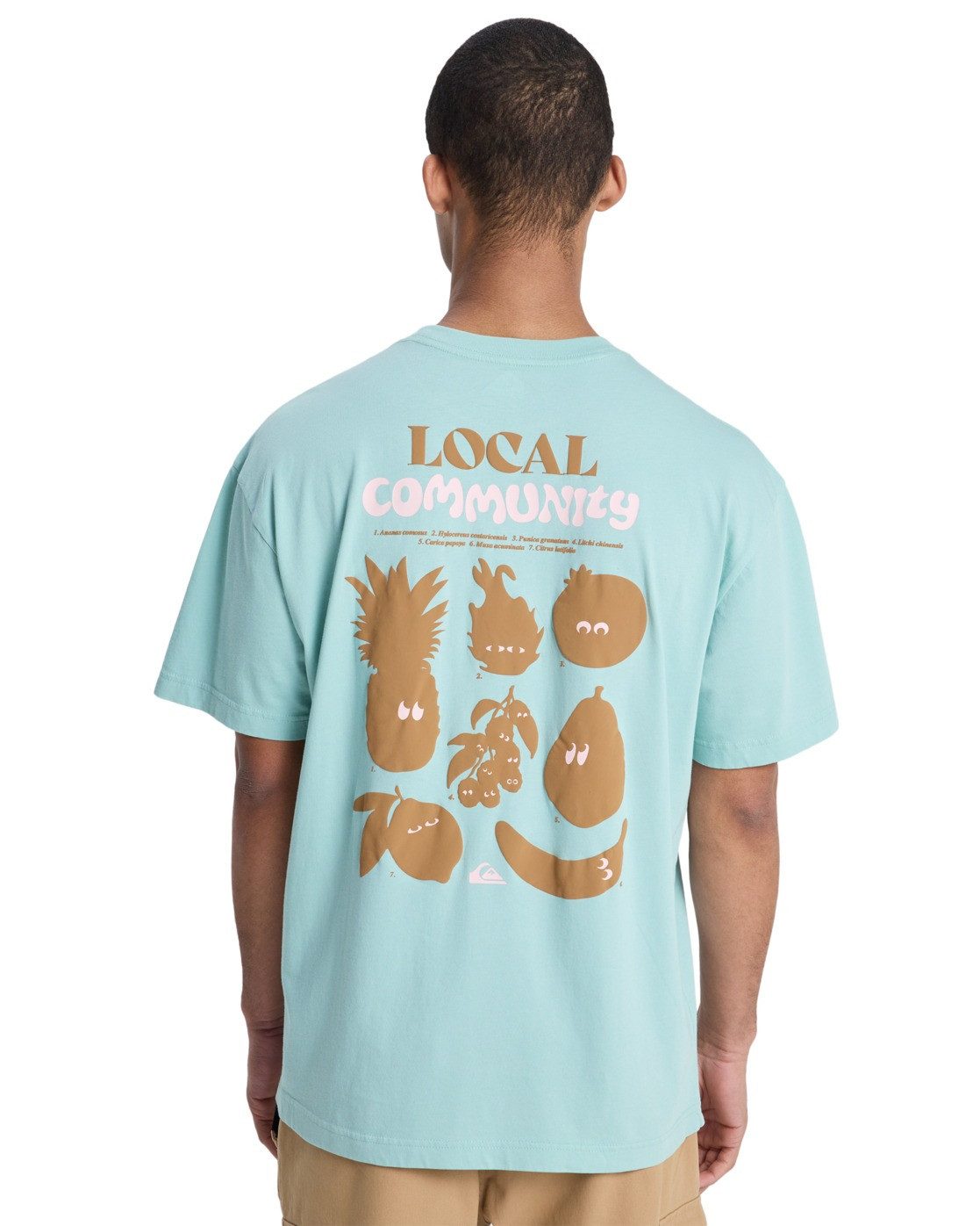 Quiksilver T-Shirt Fruits Tide günstig online kaufen