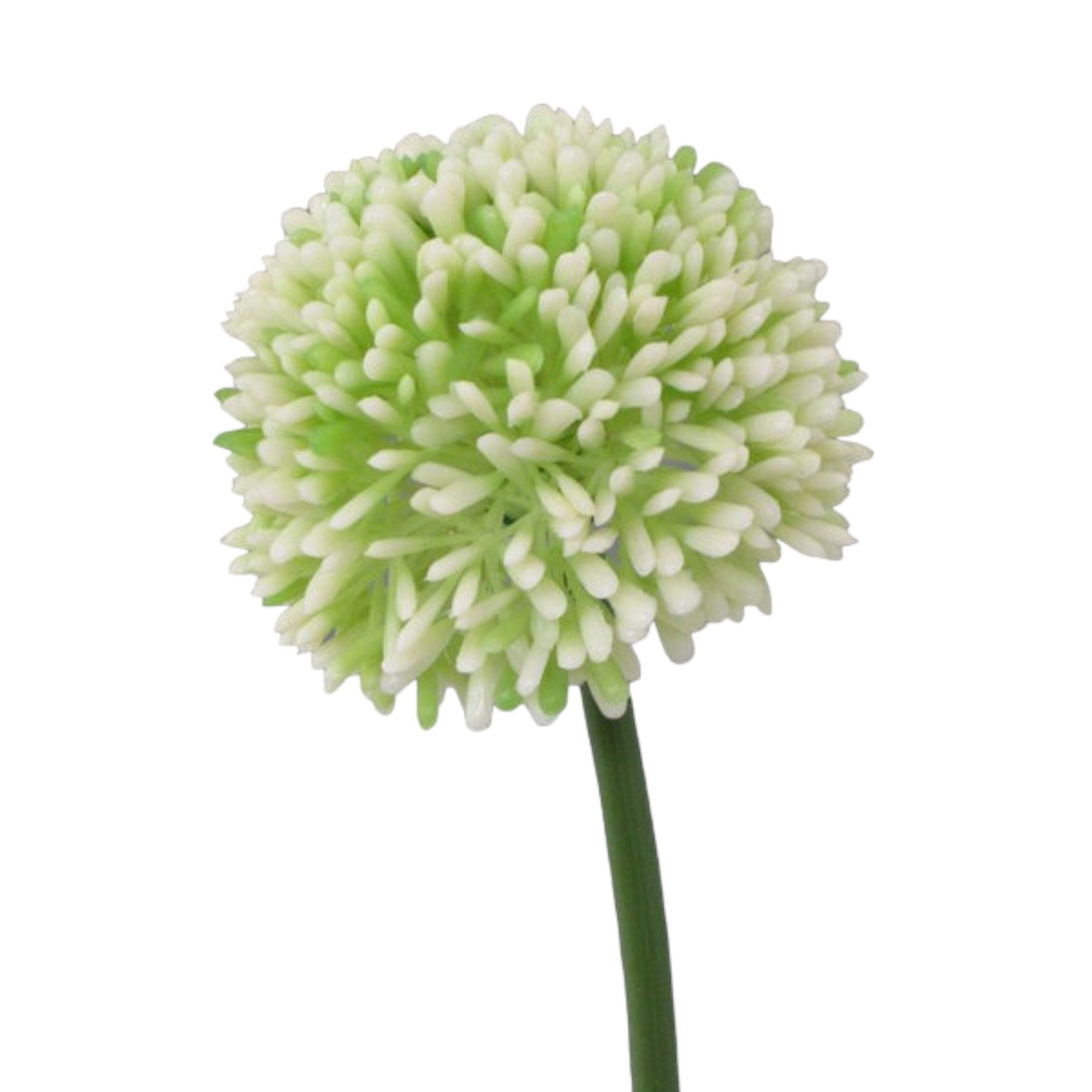 Kunstblume Kunstblume ALLIUM ca 44cm. Blütenkopf ca 6,5cm., Gasper, Höhe 44 günstig online kaufen