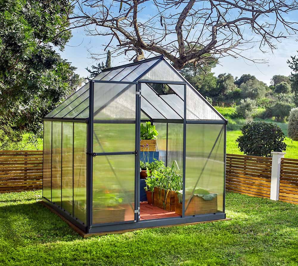 Palram - Canopia Gewächshaus, x 208  | ...