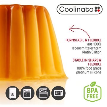 Coolinato Backform Coolinato Silikon Dessert Backformen Set 4tlg. GRAU, inkl. Rezepte