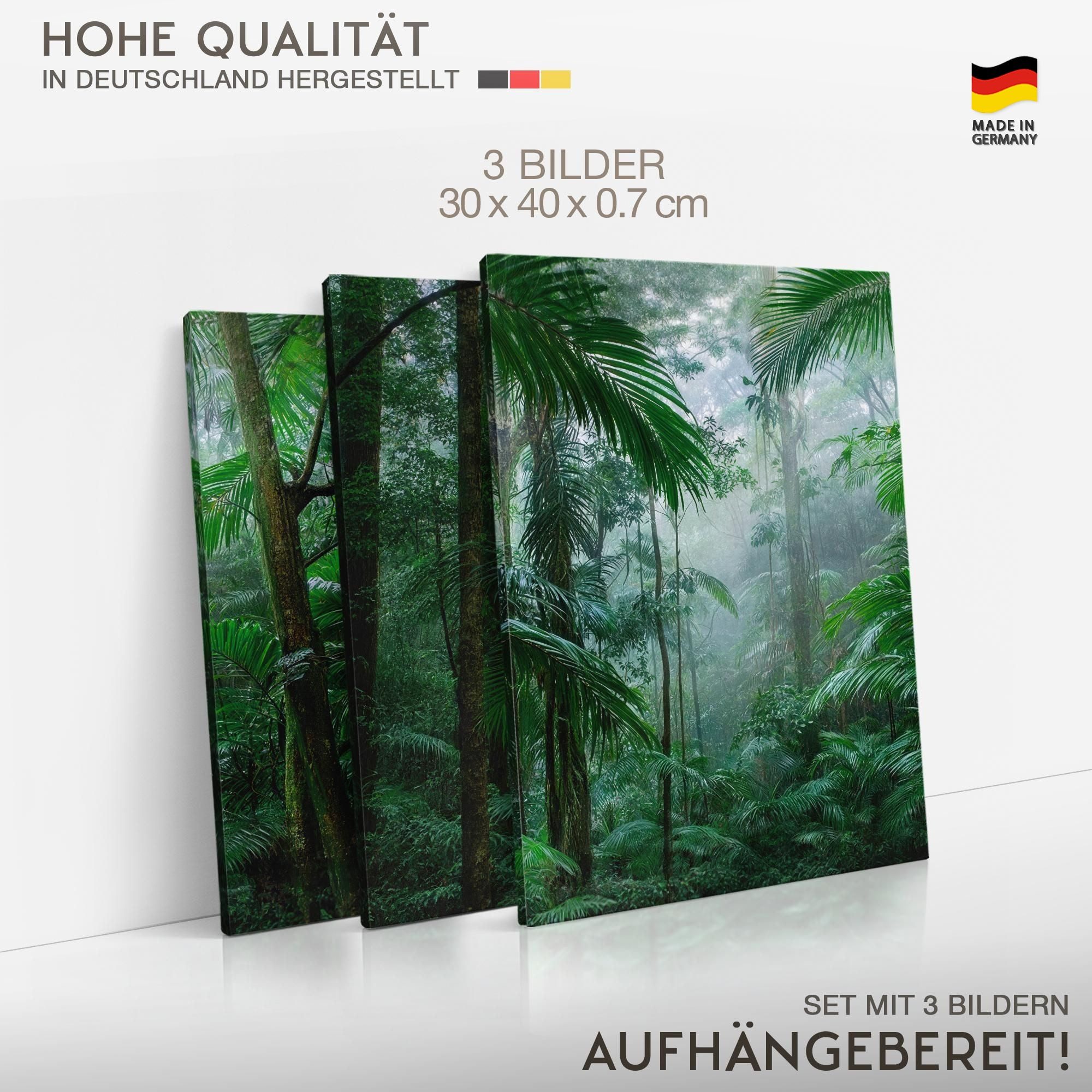 Novart Wandbild Wald Natur Bilder Set 3 Teilig Wohnzimmer Schlafzimmer Deko, Tropischer Wald – Bild 5 von 5