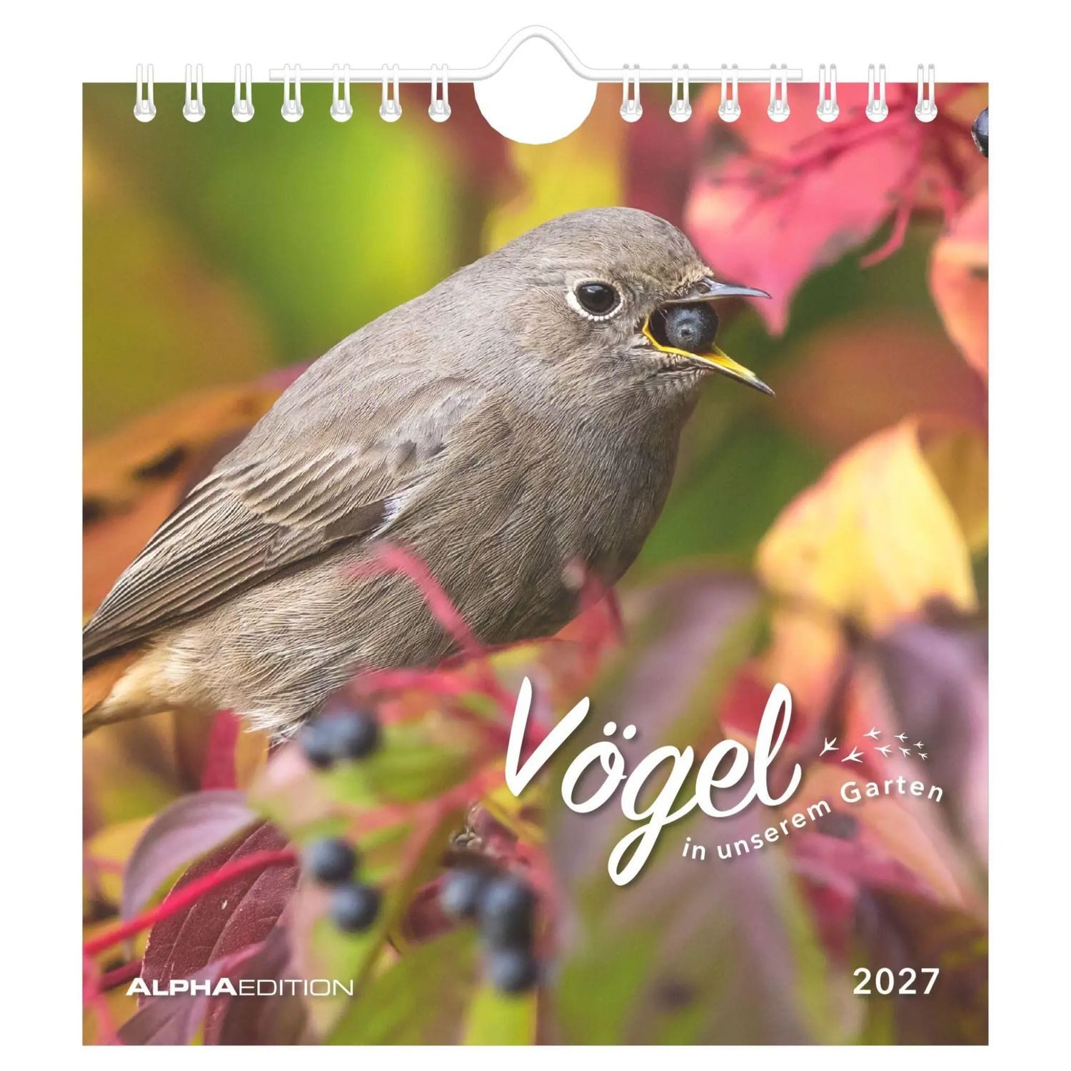NEUMANN Wandkalender Vögel in unserem Garten 2027
