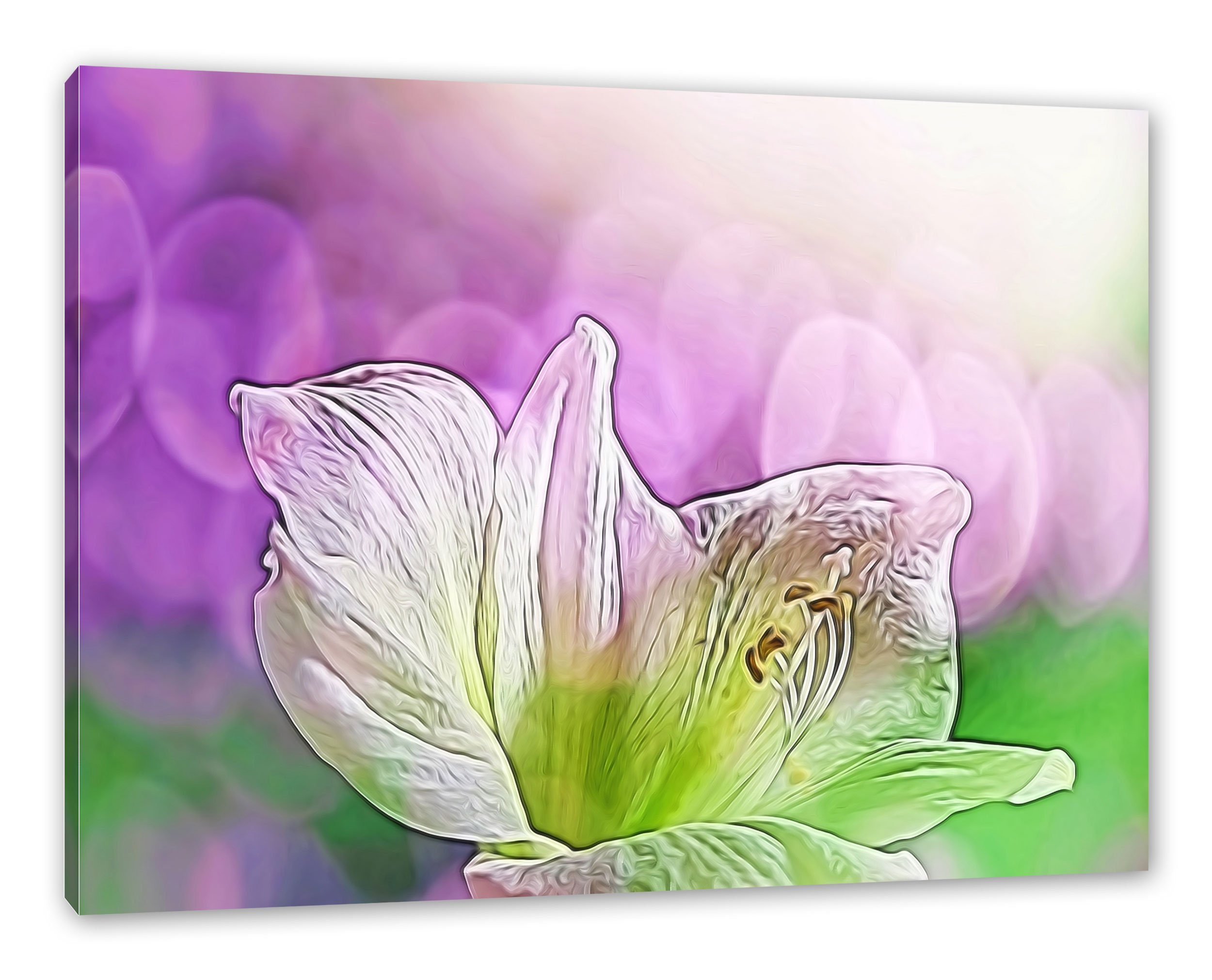Pixxprint Leinwandbild Zarte prächtige Lilie, Zarte prächtige Lilie (1 St), Leinwandbild fertig bespannt, inkl. Zackenaufhänger
