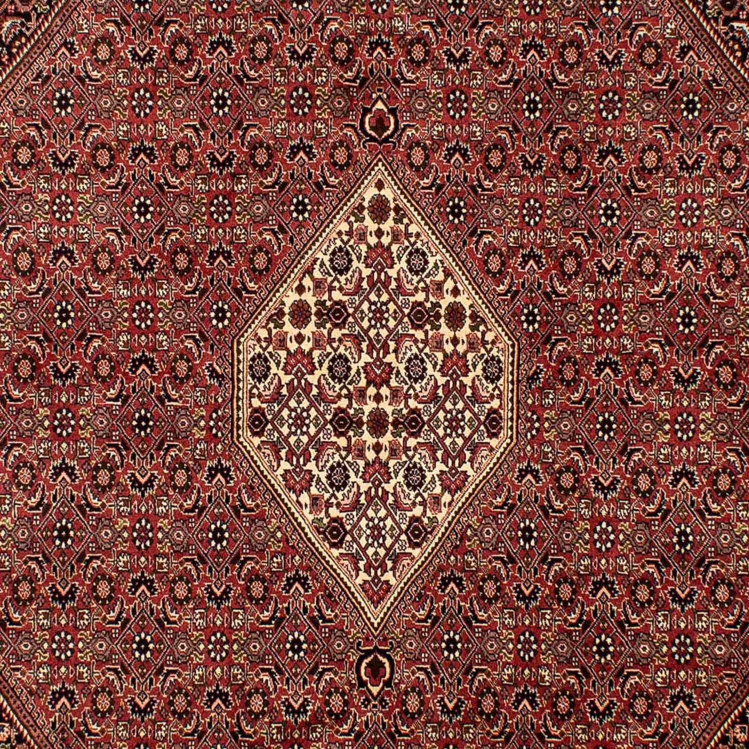 Orientteppich Perser - morgenland, x 200 - 288 cm Wohnzimmer, Zertifikat Einzelstück Handgeknüpft, - 15 Höhe: Bidjar rechteckig, mit mm, braun