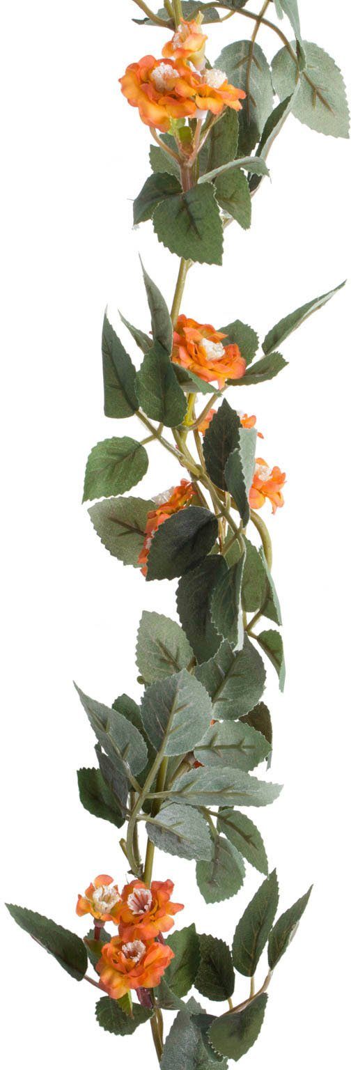 [Höchste Qualität haben!] Kunstblume Blütengirlande Rose, Botanic-Haus, 160 Höhe cm