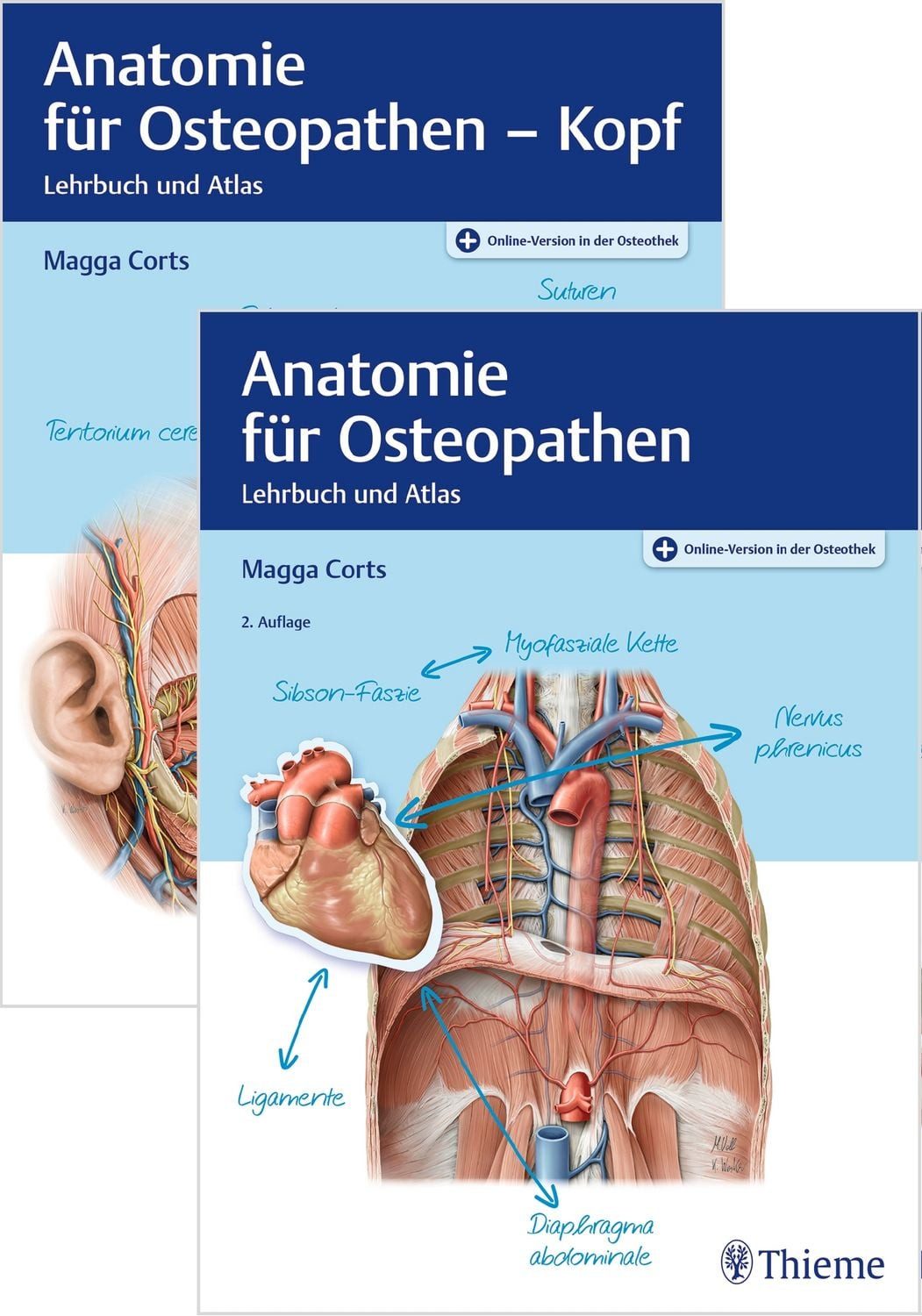 Set Anatomie für Osteopathen / Magga Corts