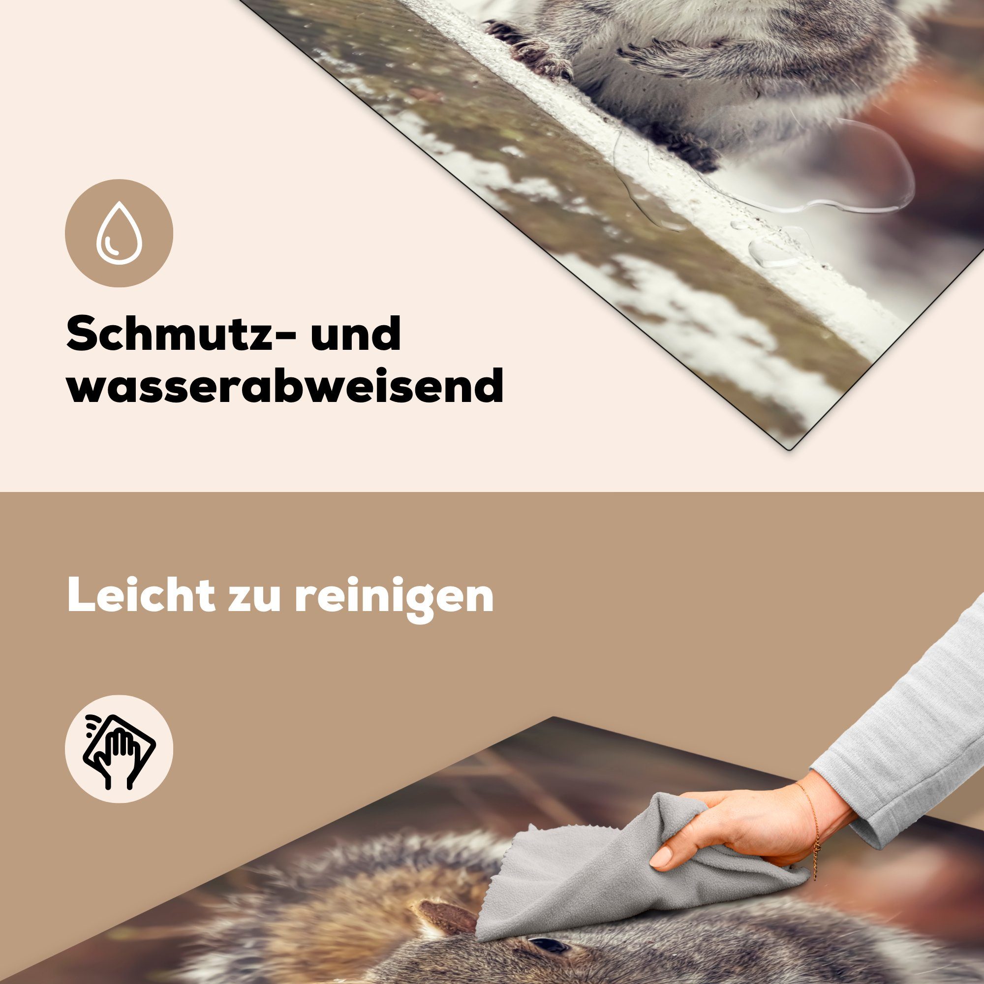 MuchoWow Herdblende-/Abdeckplatte Eichhörnchen - 78x78 Ceranfeldabdeckung, (1 für küche tlg), Winter, cm, Wildtier Vinyl, - Arbeitsplatte