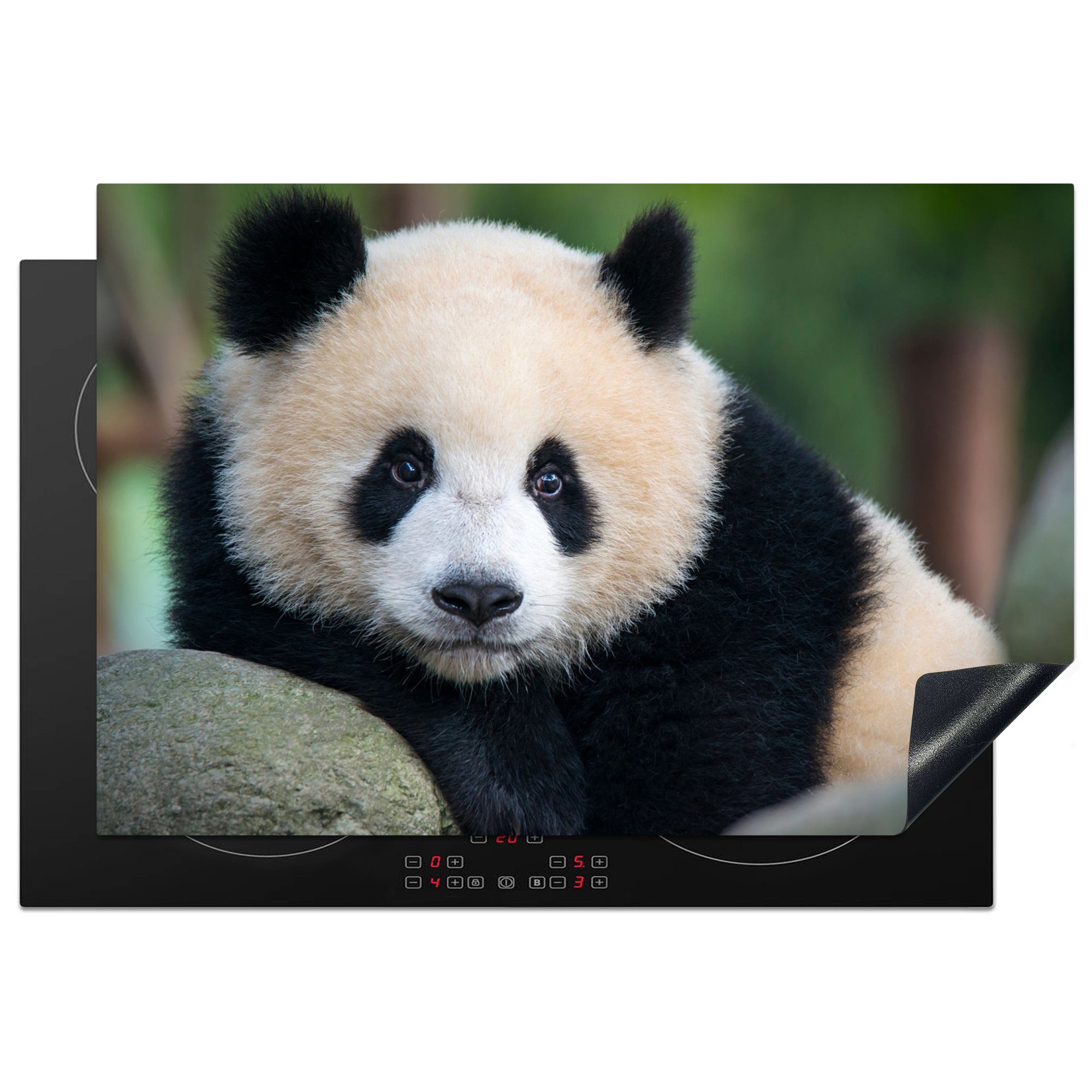 MuchoWow Herdblende-/Abdeckplatte Panda - Wildtiere - Porträt - Stein, Vinyl, (1 tlg), 77x51 cm, Ceranfeldabdeckung, Arbeitsplatte für küche