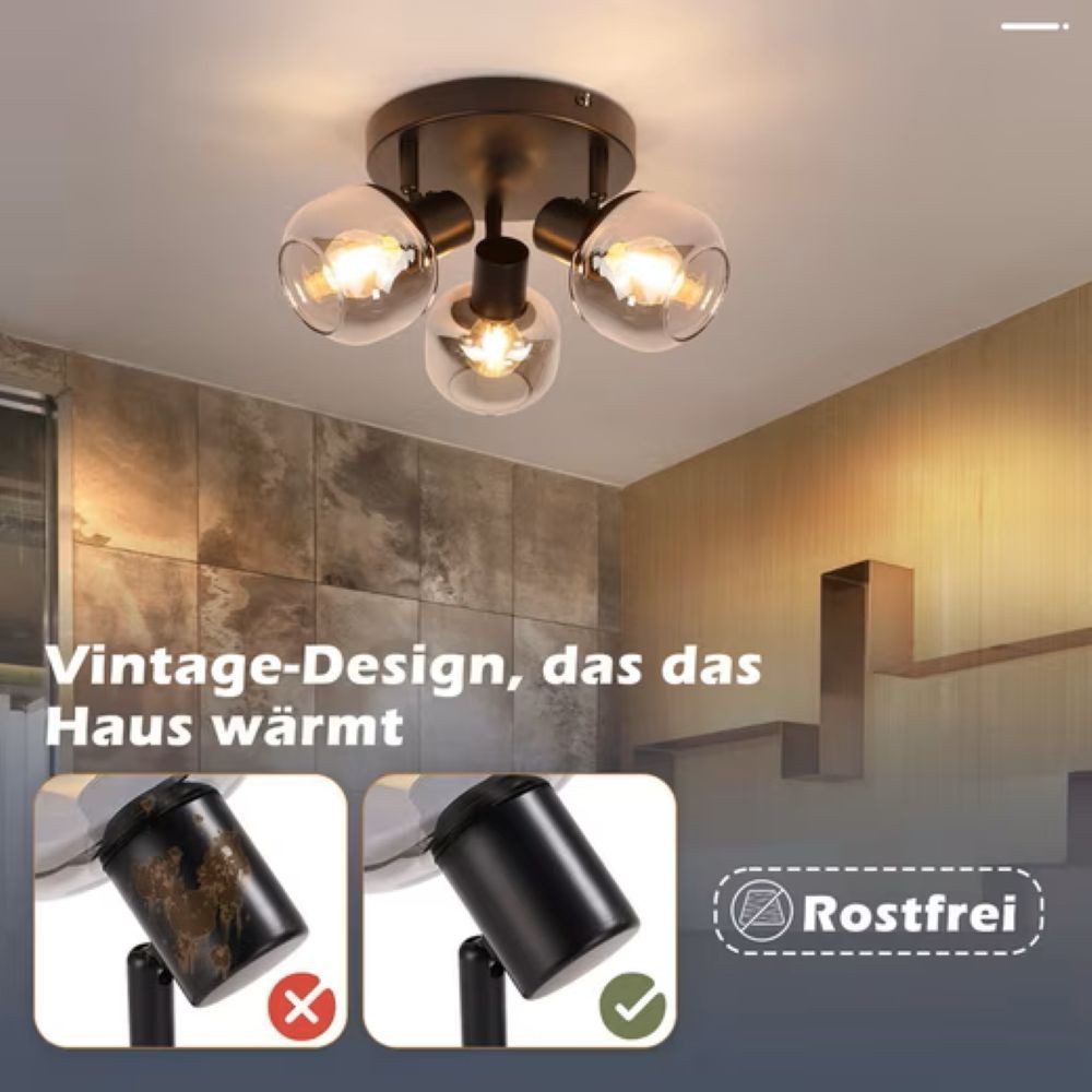 Nettlife Deckenstrahler Küchenlampe 2/3/4/6 Flammig Modern E14 Rauchglas Deckenleuchte, Schwenkbar, LED wechselbar, Wohnzimmerlampe für Schlafzimmer Flur Küche