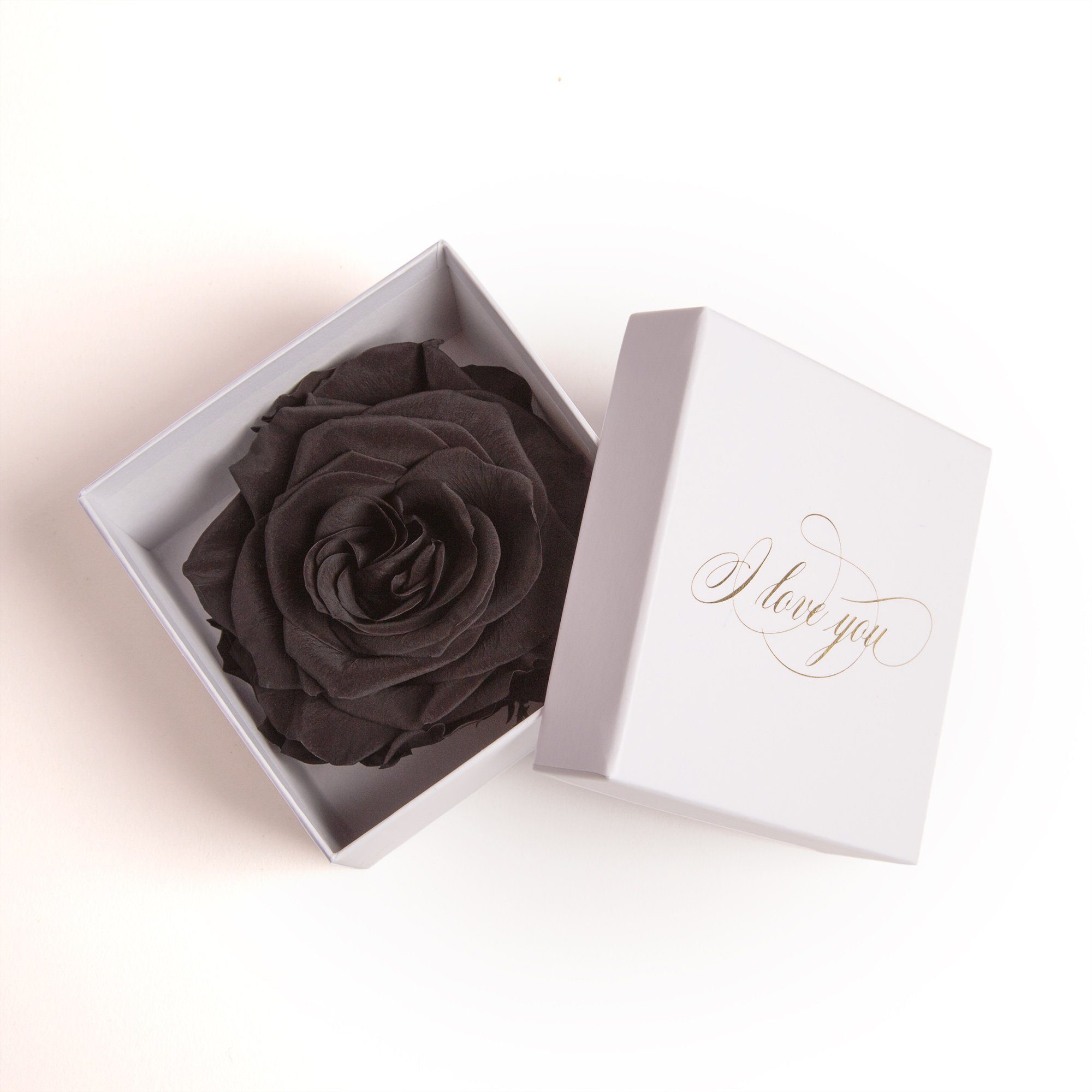 Kunstblume Infinity Rose in Box weiß I LOVE YOU Geschenk Frauen Liebesbeweis Valentinstag Rose, ROSEMARIE SCHULZ Heidelberg, Höhe 6 cm, Rose haltbar bis zu 3 Jahre schwarz