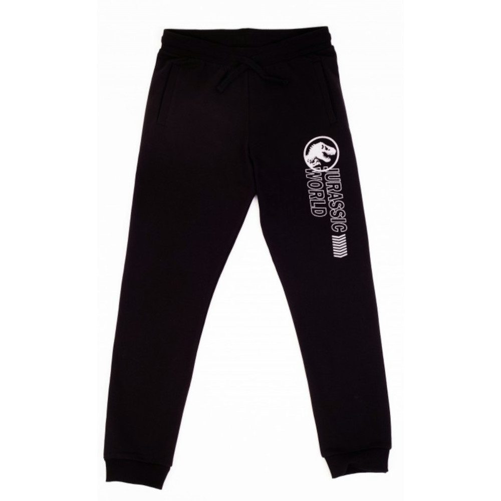 Jurassic World Jogginghose Jurassic World Jogginghose, Glitzerndes Logo & Schriftzug, Größen