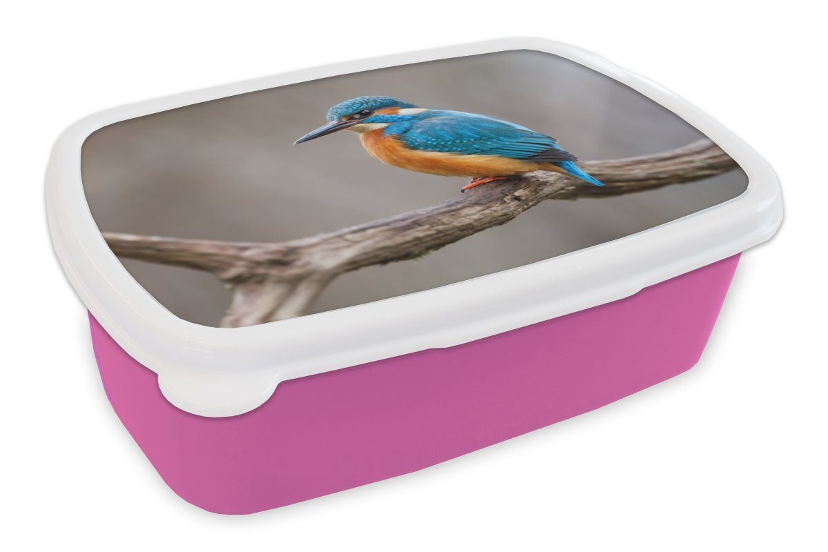 MuchoWow Lunchbox Eisvogel Kunststoff Kunststoff, Kinder, Mädchen, - für Zweige Brotdose Porträt, rosa Erwachsene, Snackbox, - Brotbox (2-tlg)