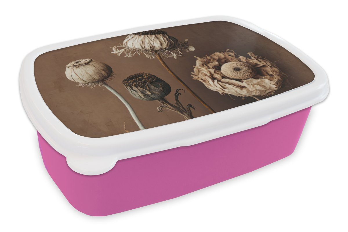 MuchoWow Lunchbox Blumen - Pflanzen - Trockenblumen - Braun, Kunststoff, (2-tlg), Brotbox für Erwachsene, Brotdose Kinder, Snackbox, Mädchen, Kunststoff rosa