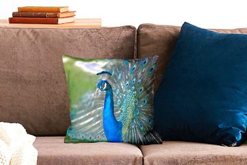 MuchoWow Dekokissen Pfau - Vögel - Blau, Zierkissen mit Füllung für Wohzimmer, Schlafzimmer, Deko, Sofakissen