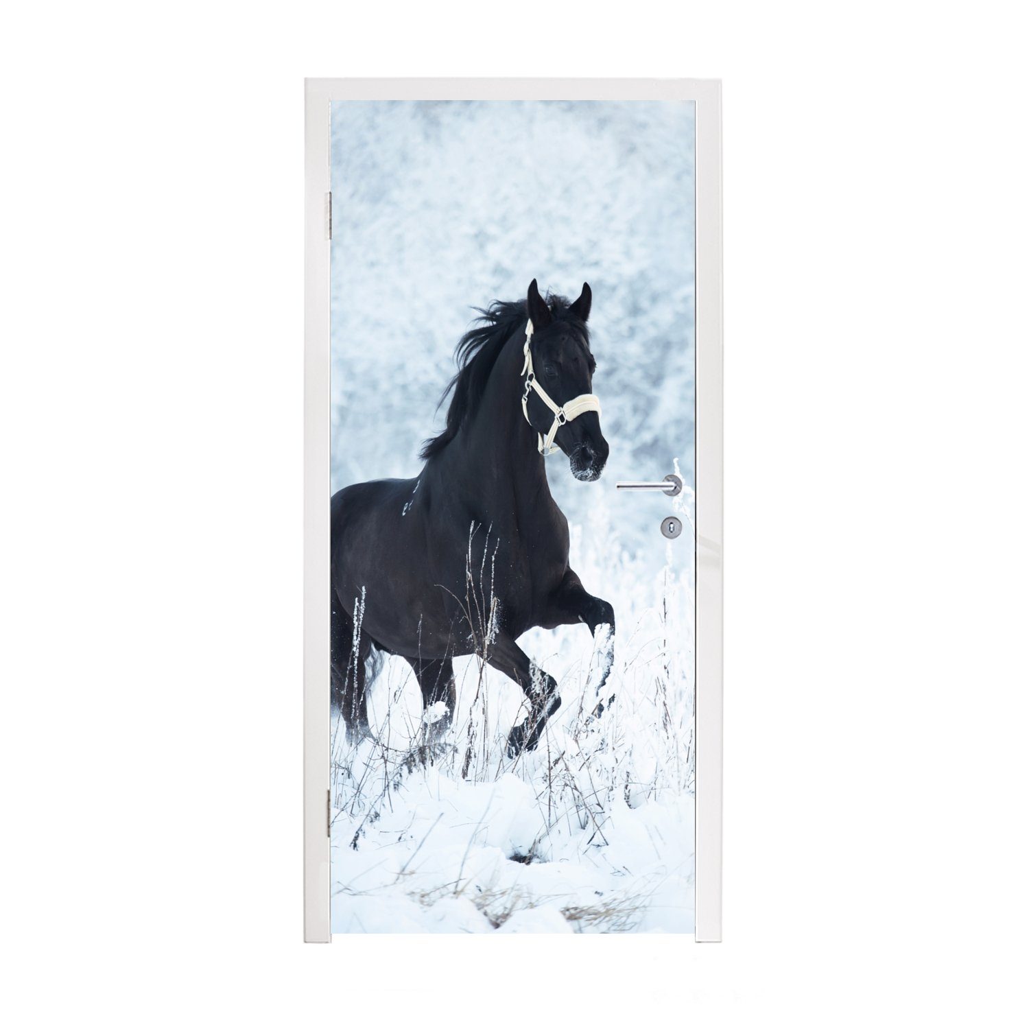 MuchoWow Türtapete Pferd - Schnee - Winter, Matt, bedruckt, (1 St), Fototapete für Tür, Türaufkleber, 75x205 cm