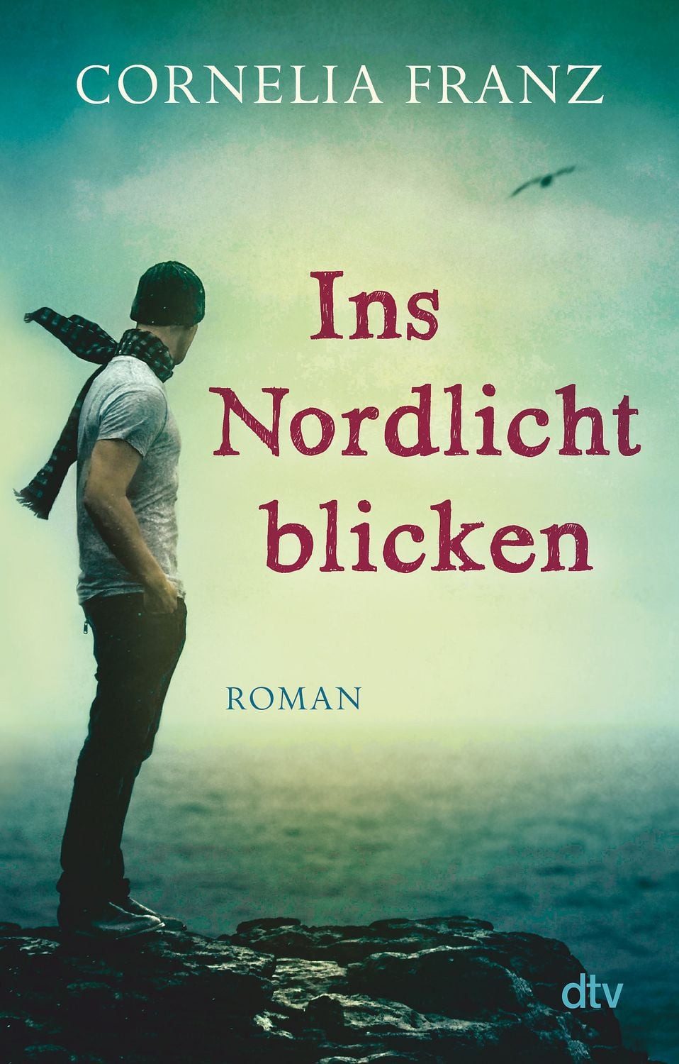 Ins Nordlicht blicken / Cornelia Franz