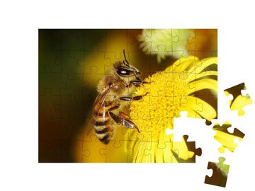 puzzleYOU Puzzle Honigbiene, Biene, 48 Puzzleteile, puzzleYOU-Kollektionen Bienen